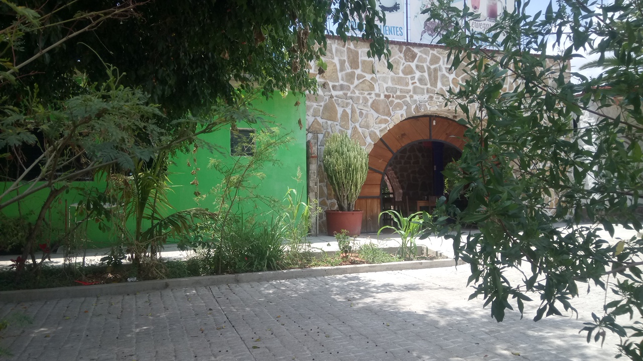 Codorniz Azul Restaurante - Cafe image 7