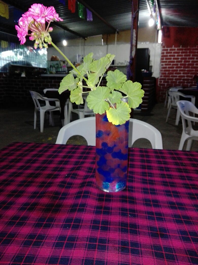 Comedor Jazibe image 4