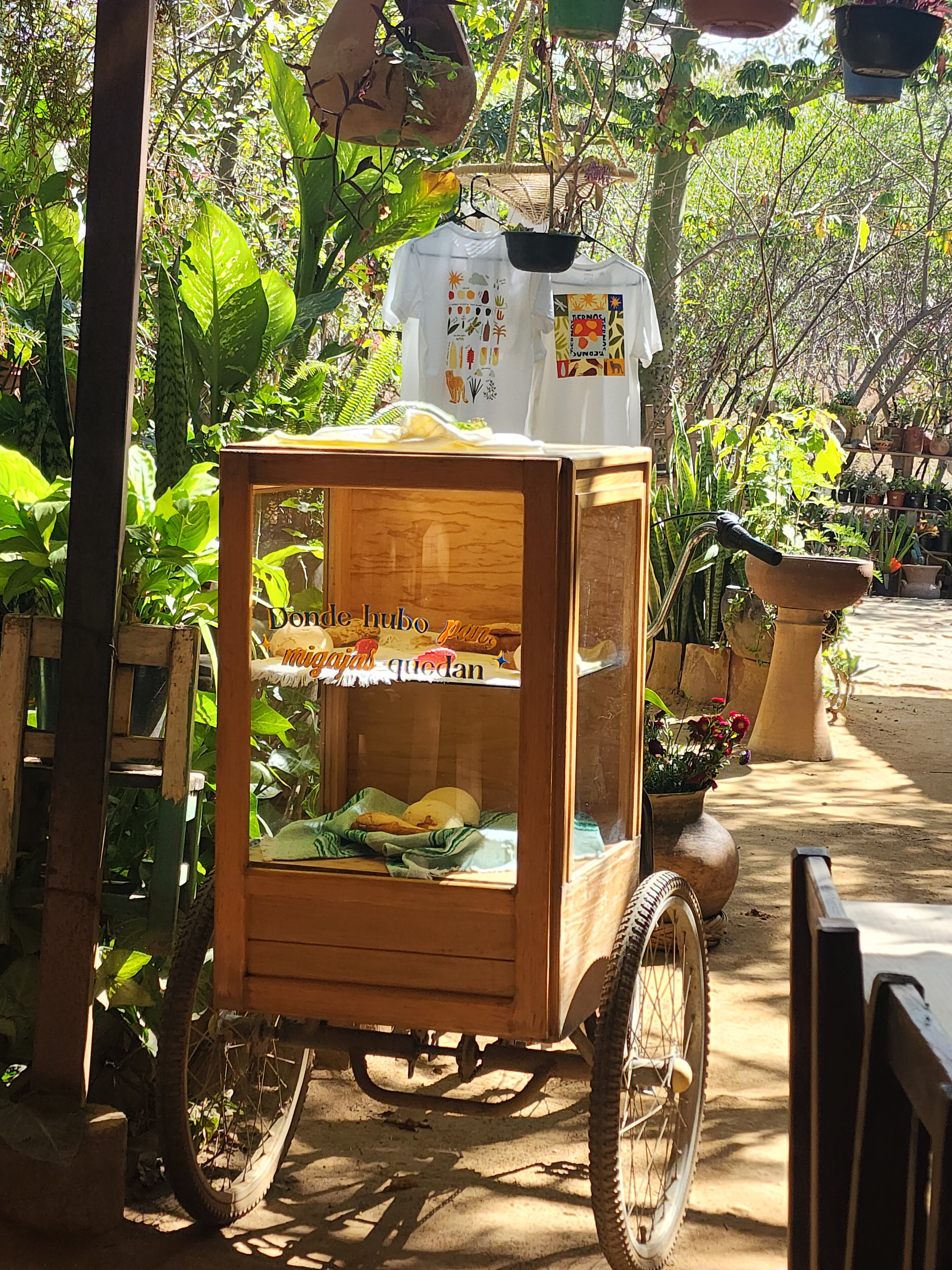 Almú Tilcajete image 2