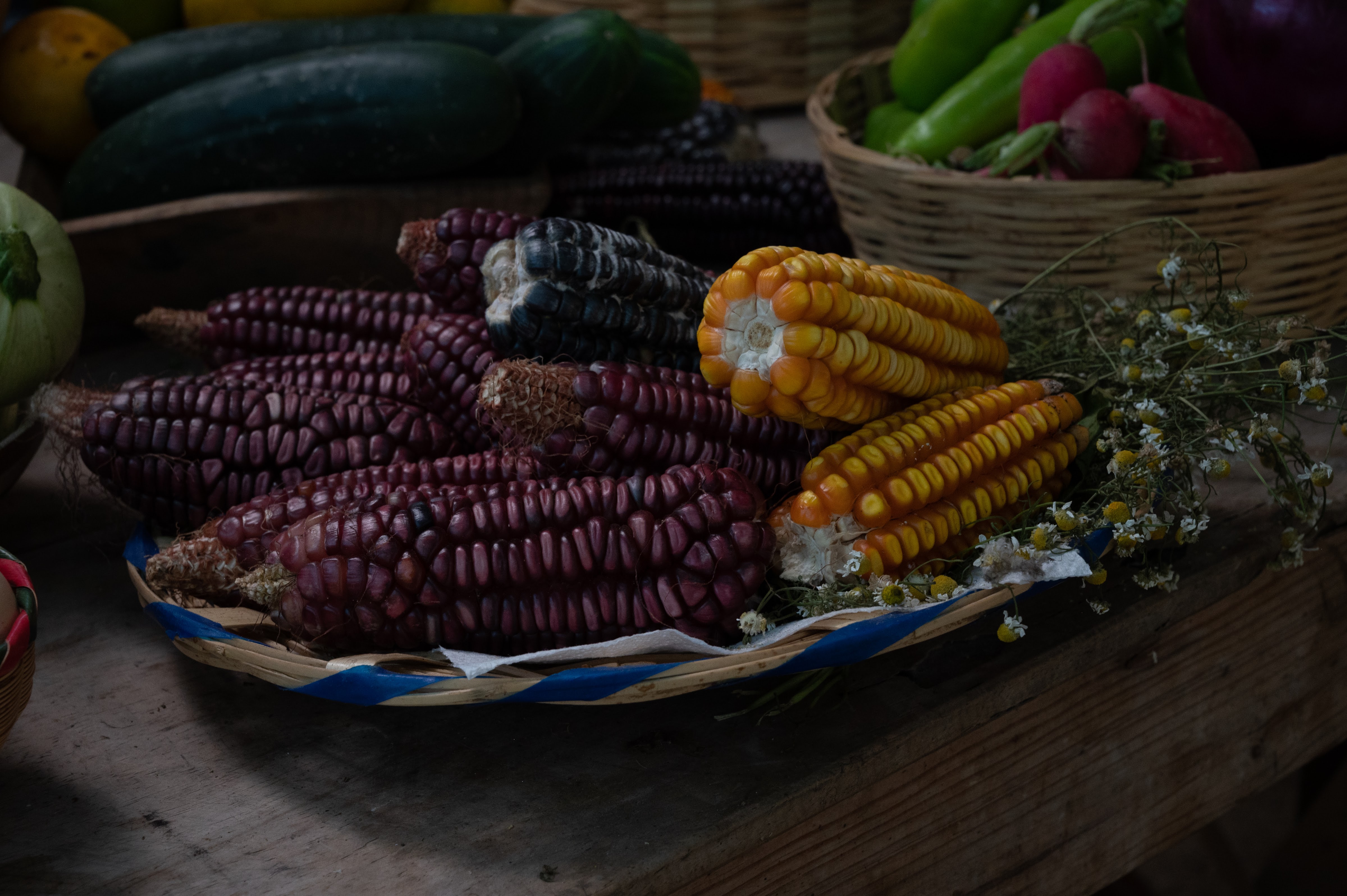 Almú Tilcajete image 3