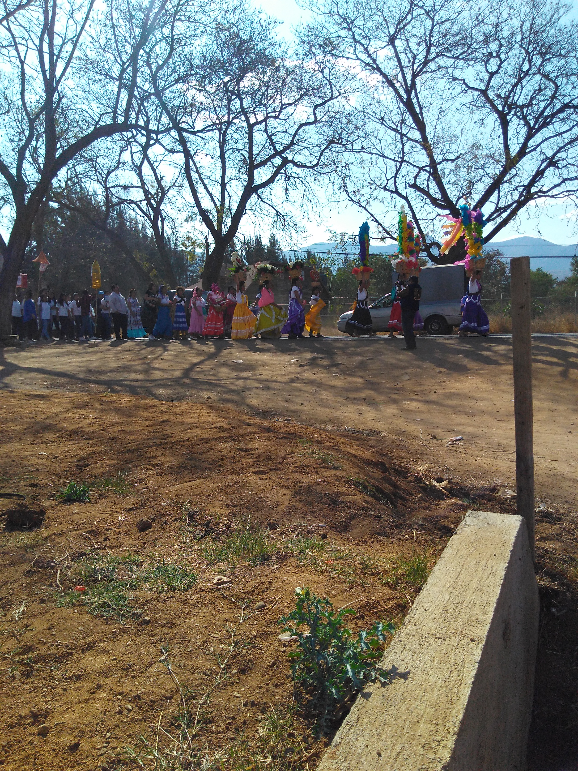 Restaurant Bar La Pasadita image 2