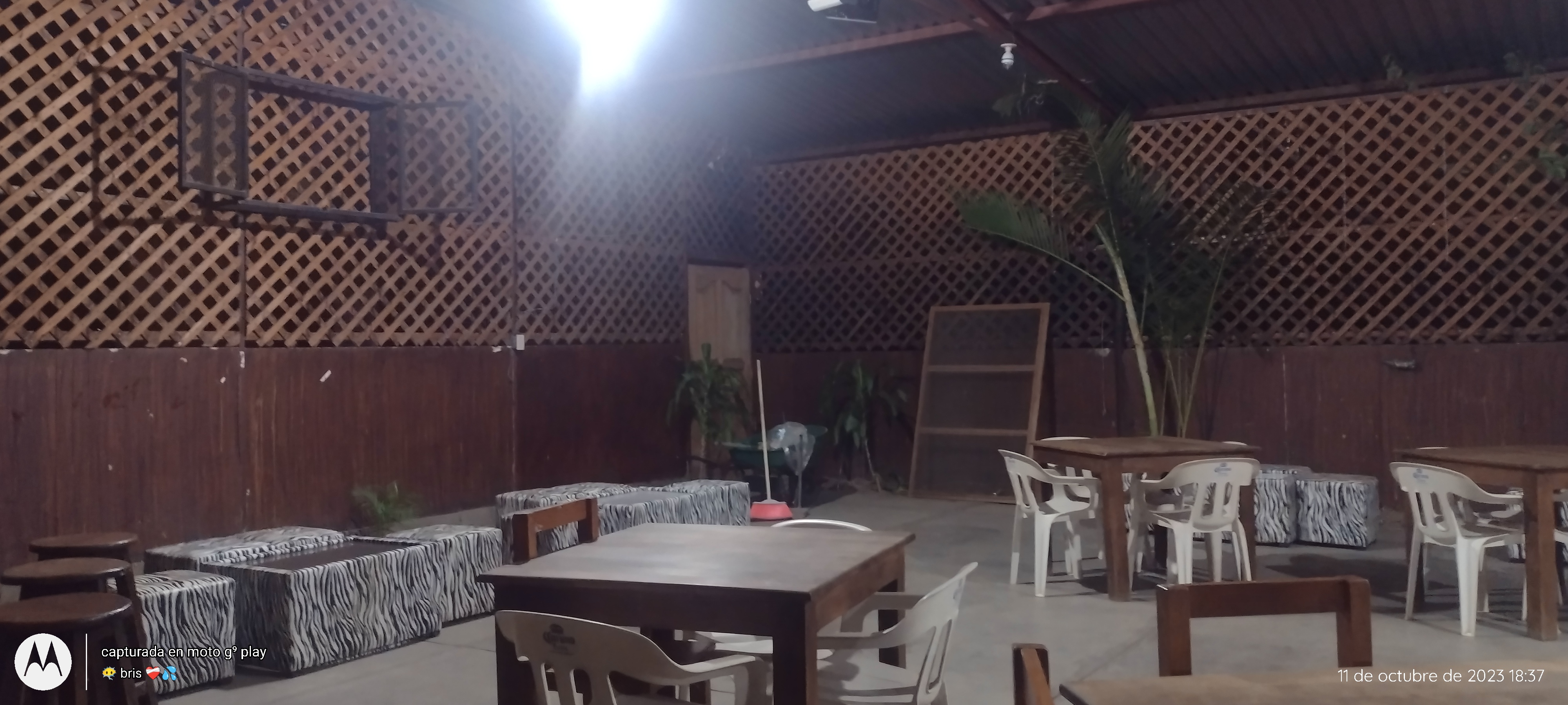 Restaurant Bar La Pasadita image 6