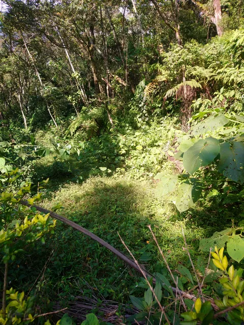 El Jardin de la Salud image 3