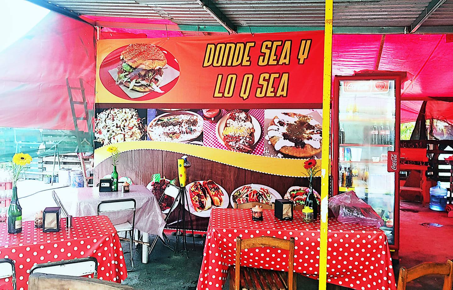 Donde Sea y Lo Que Sea image 7