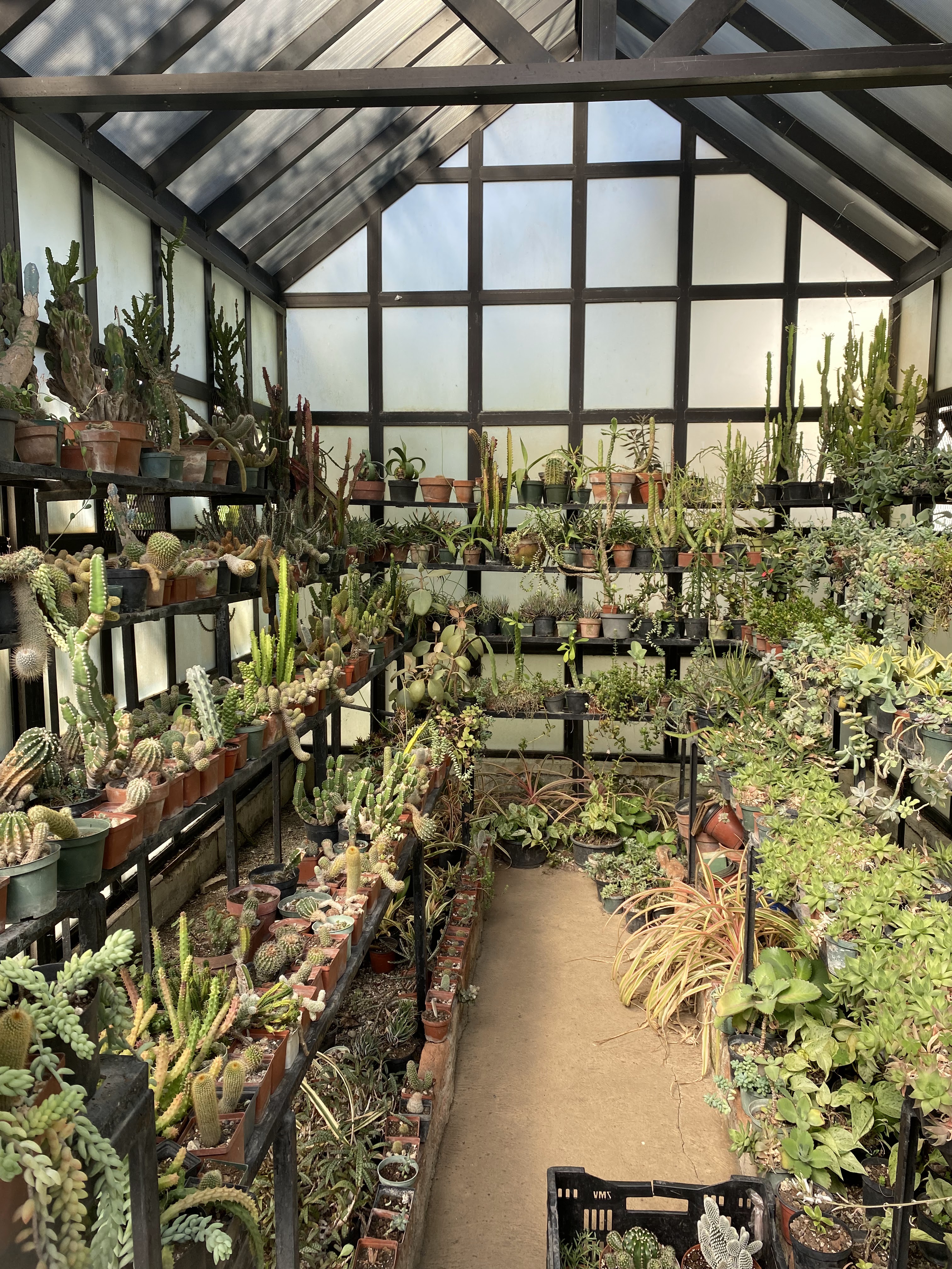 Posada Loma Restaurante image 1