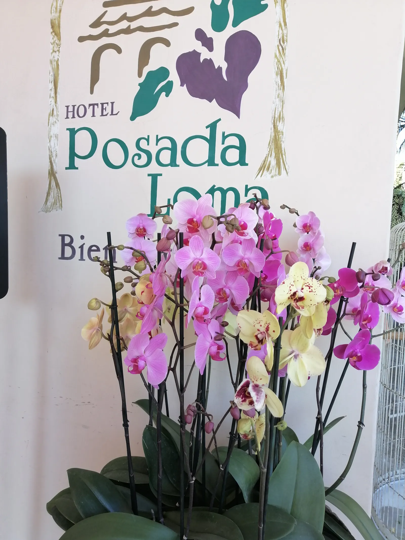 Posada Loma Restaurante image 3