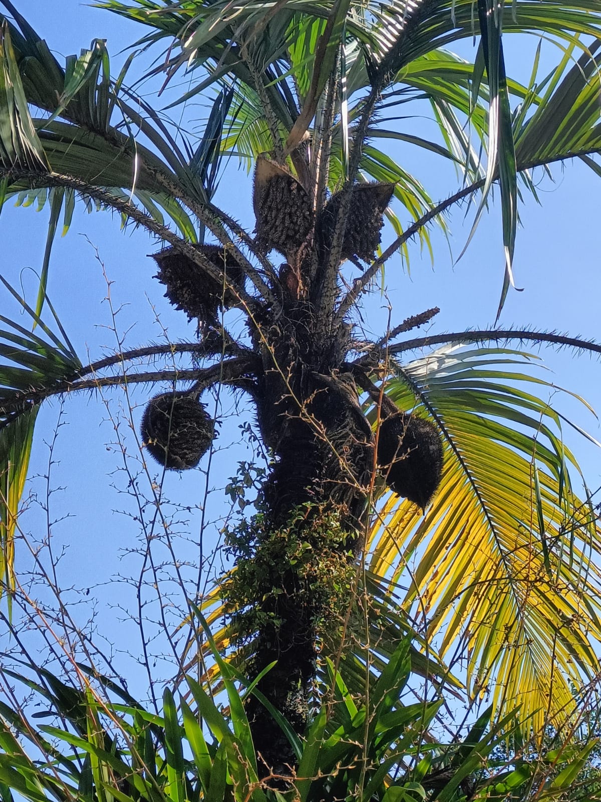 Posada Loma Restaurante image 10