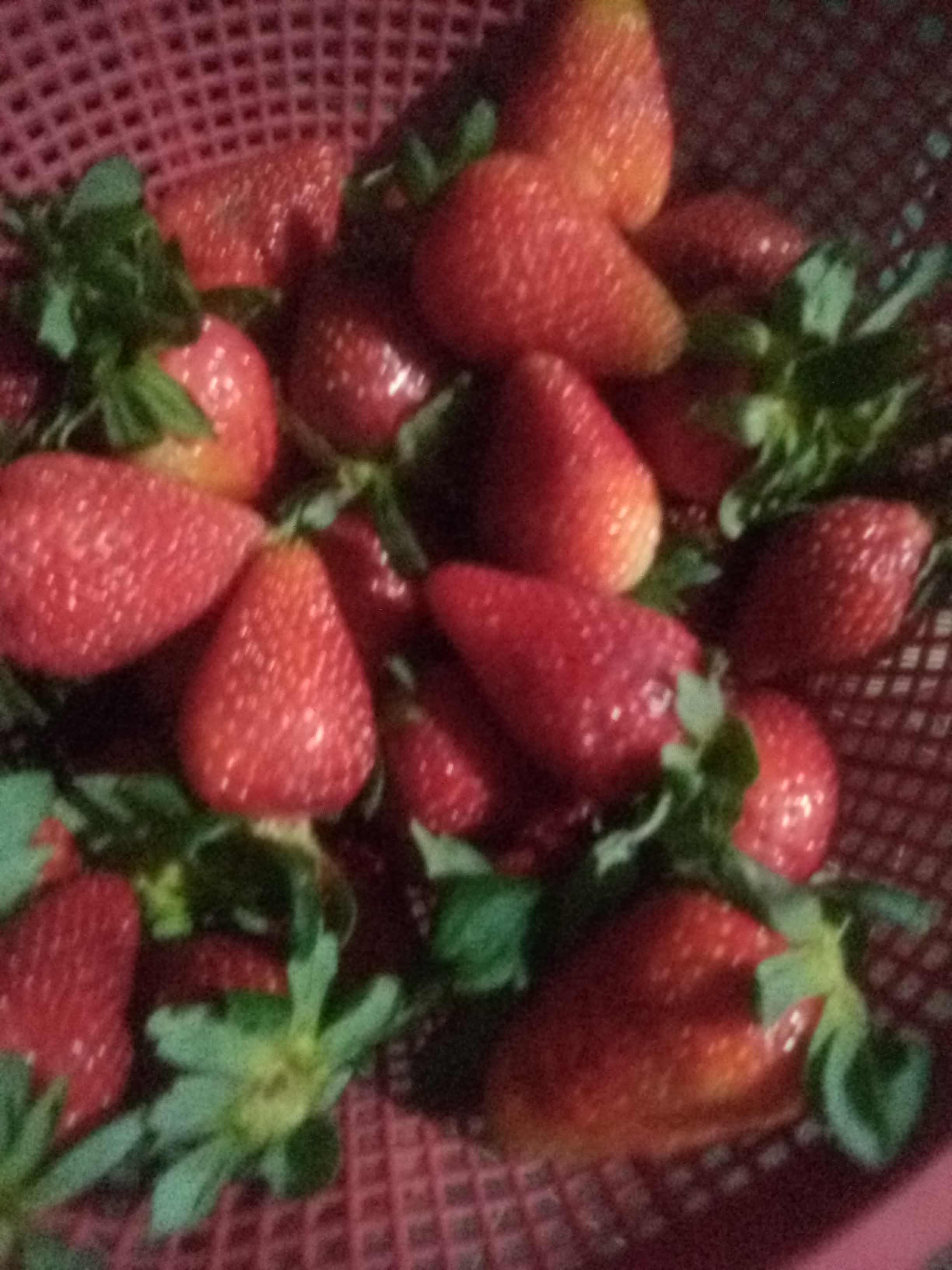 RINCONCITO RESTAURANTE BAR image 7