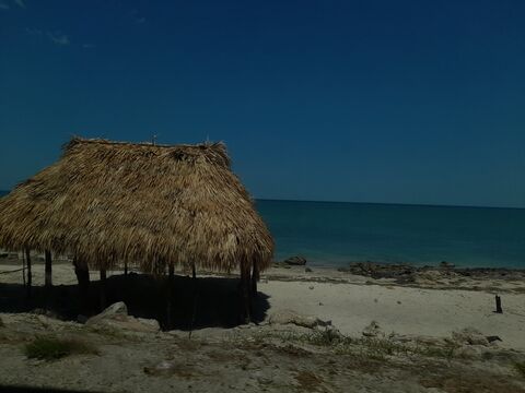 La villa 15 image 8