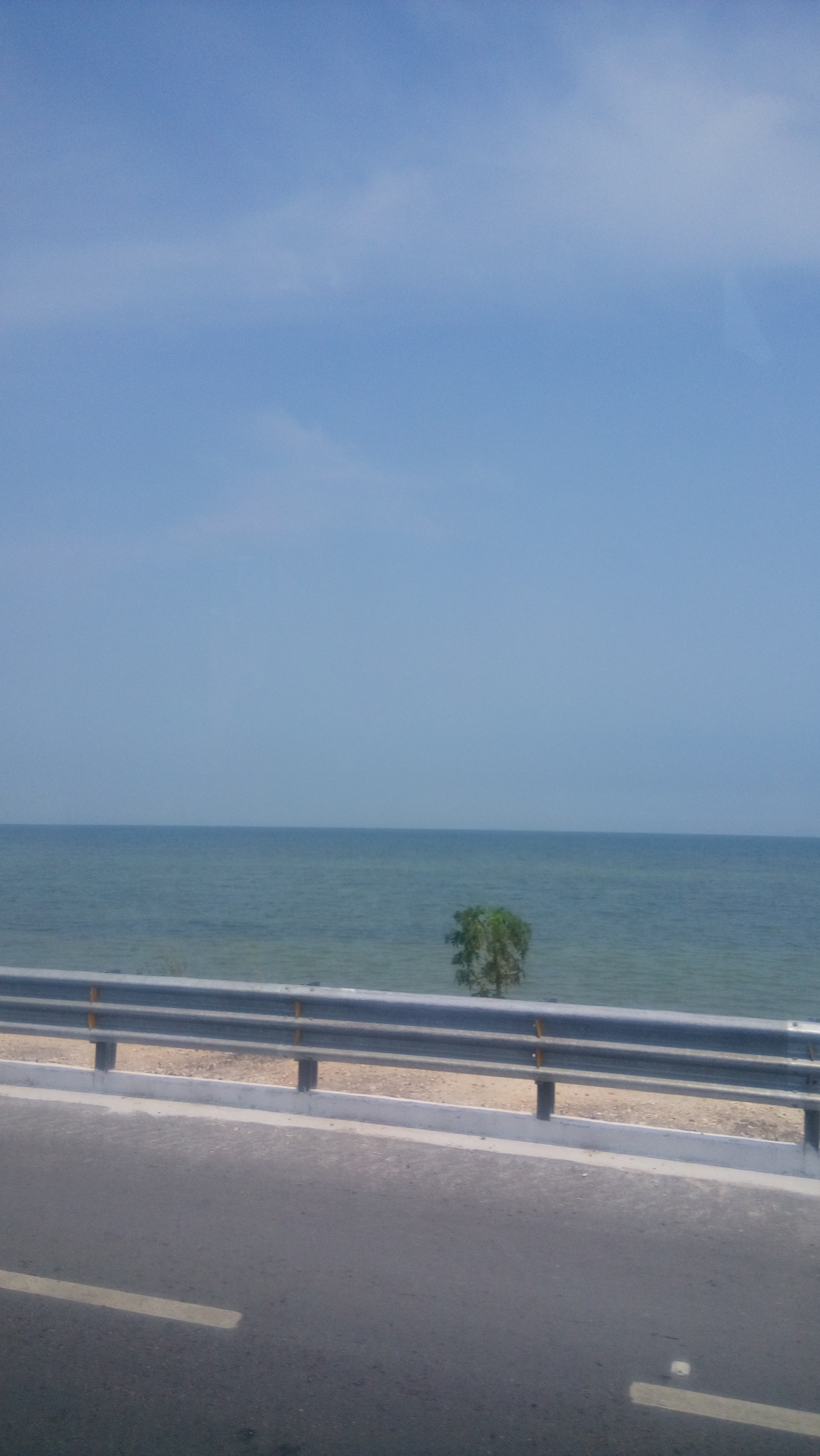 Cochinita Pibil “La Pluma" image 4