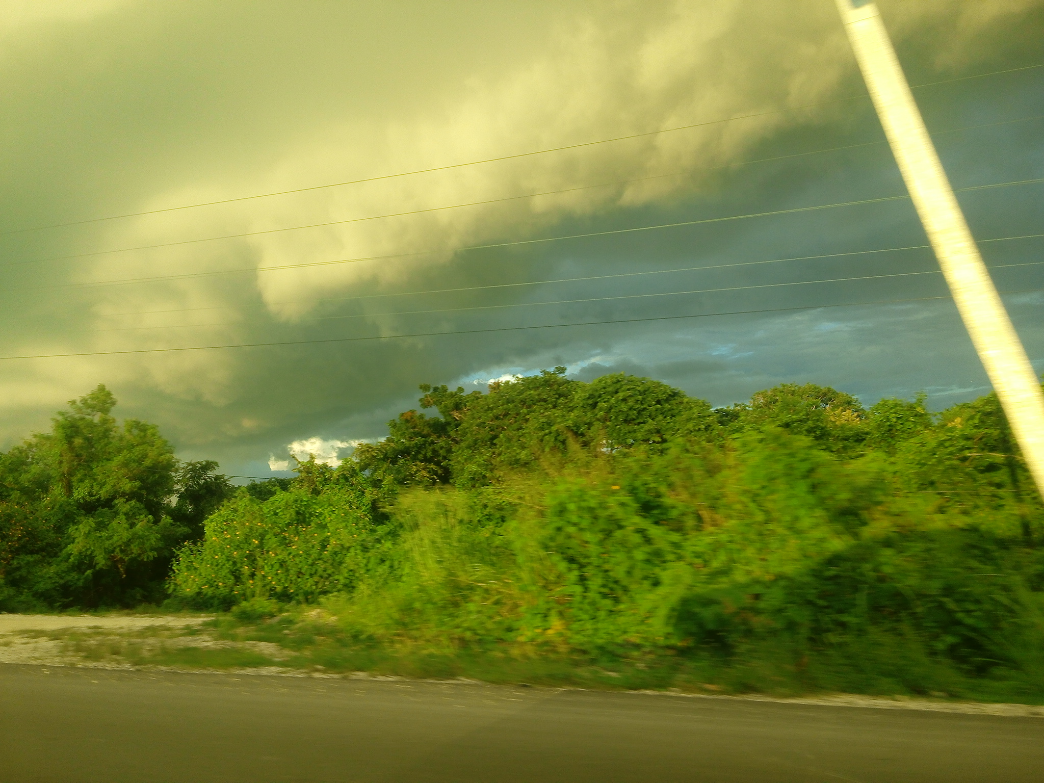 Cochinita Pibil “La Pluma" image 5