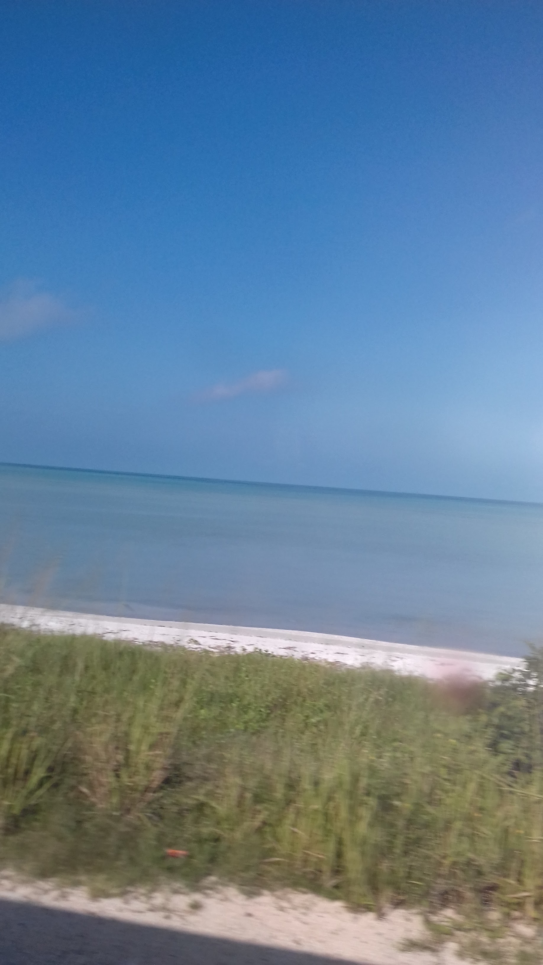 Cochinita Pibil “La Pluma" image 7