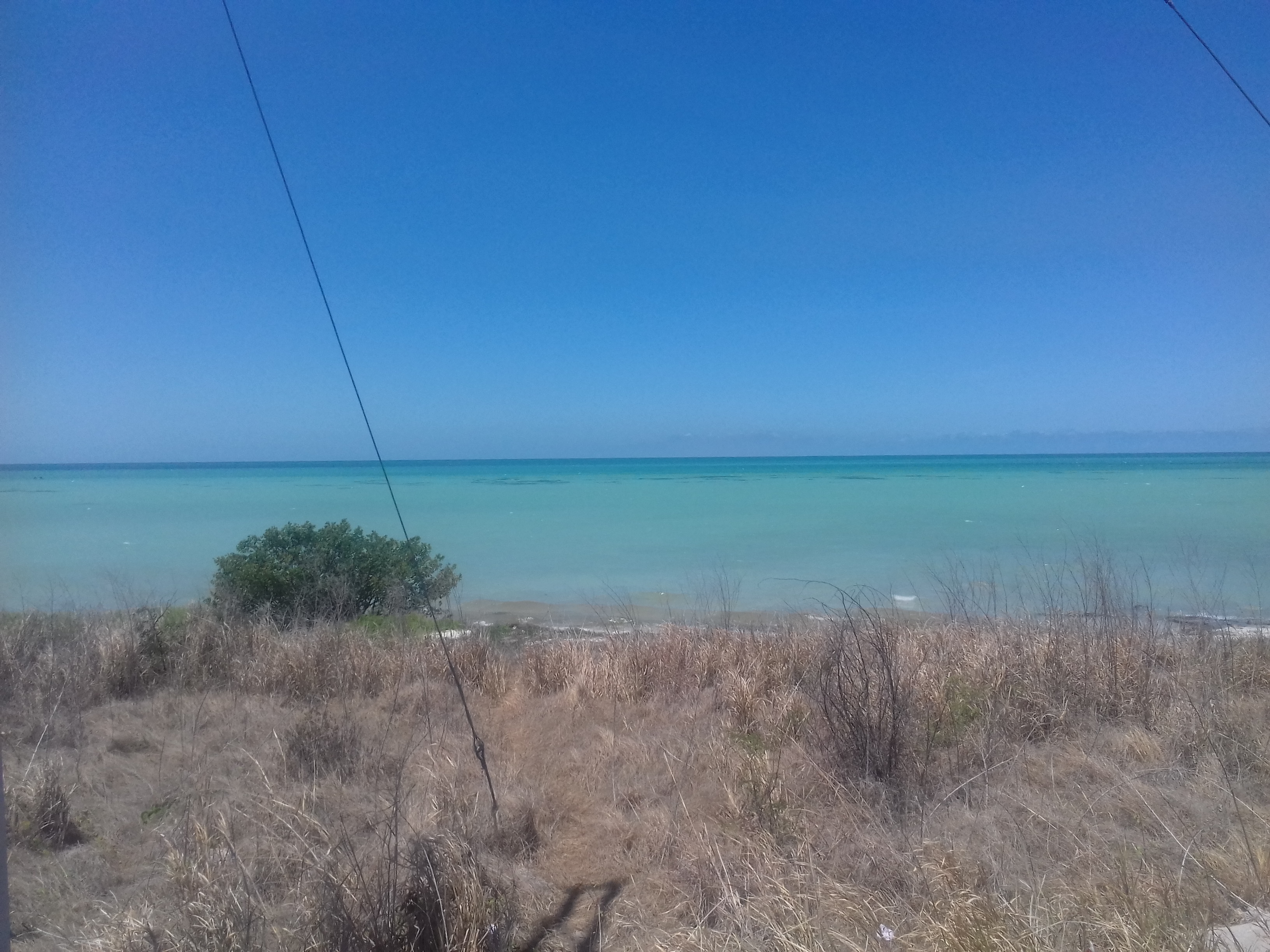 Cochinita Pibil “La Pluma" image 9