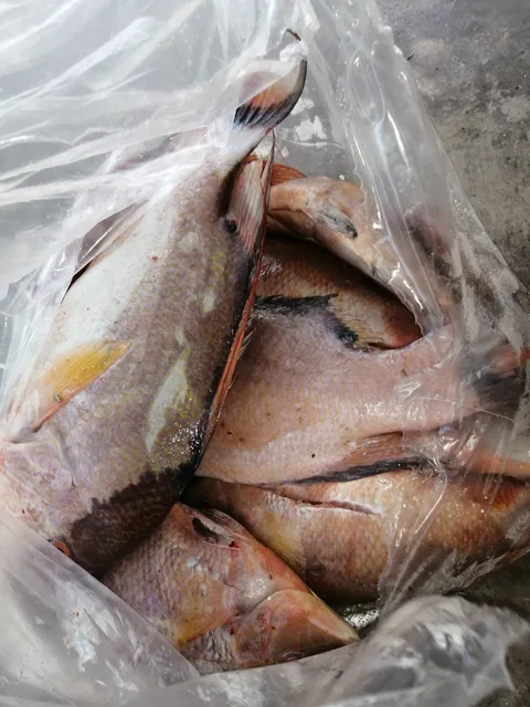 Kocteleria y mariscos El Boquinete image 1