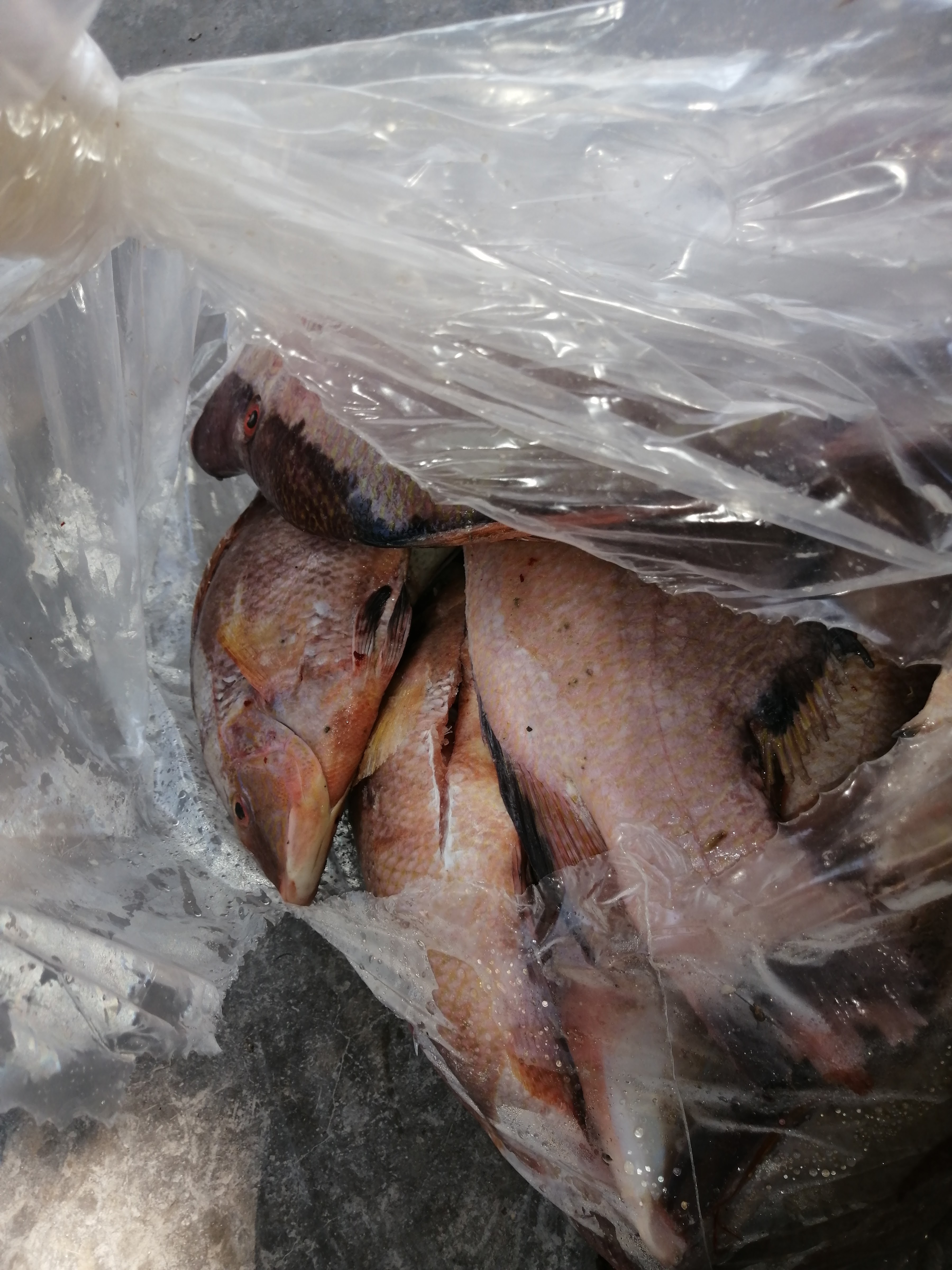 Kocteleria y mariscos El Boquinete image 2