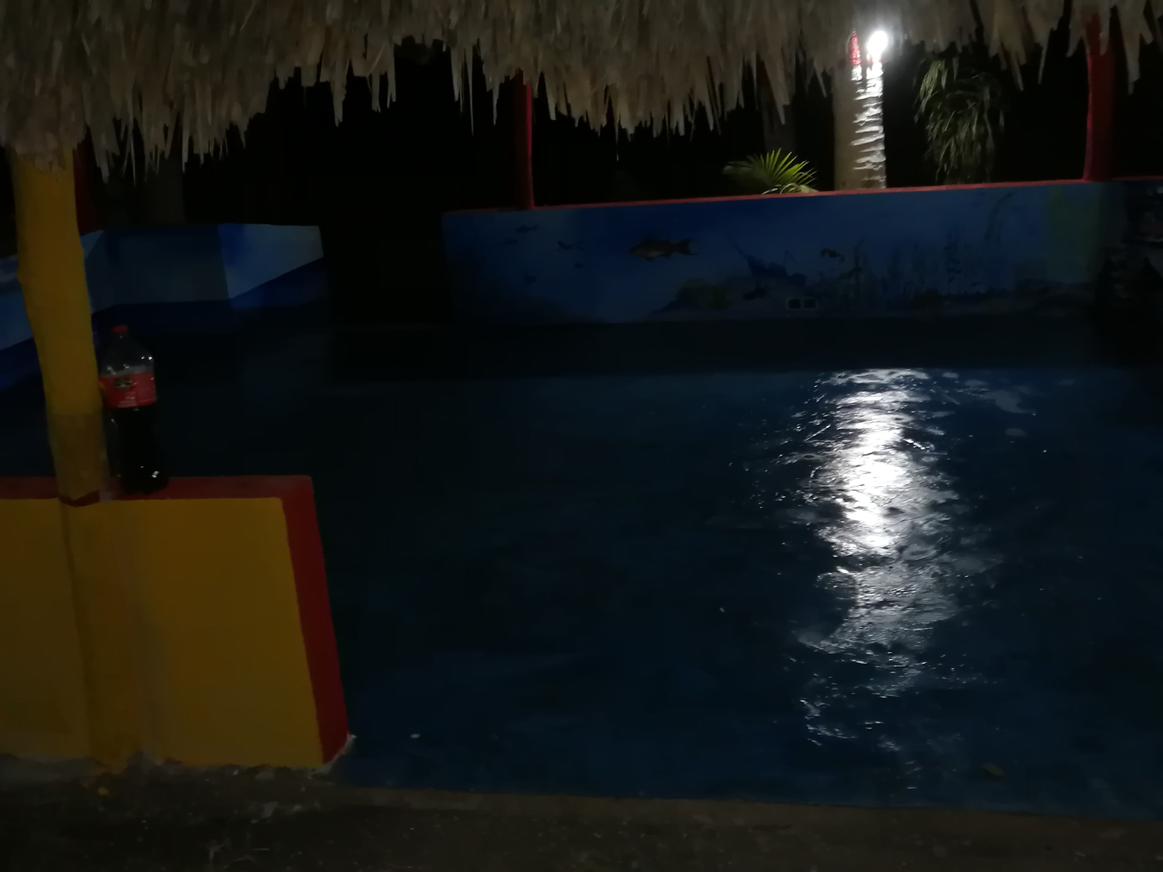 Kocteleria y mariscos El Boquinete image 3