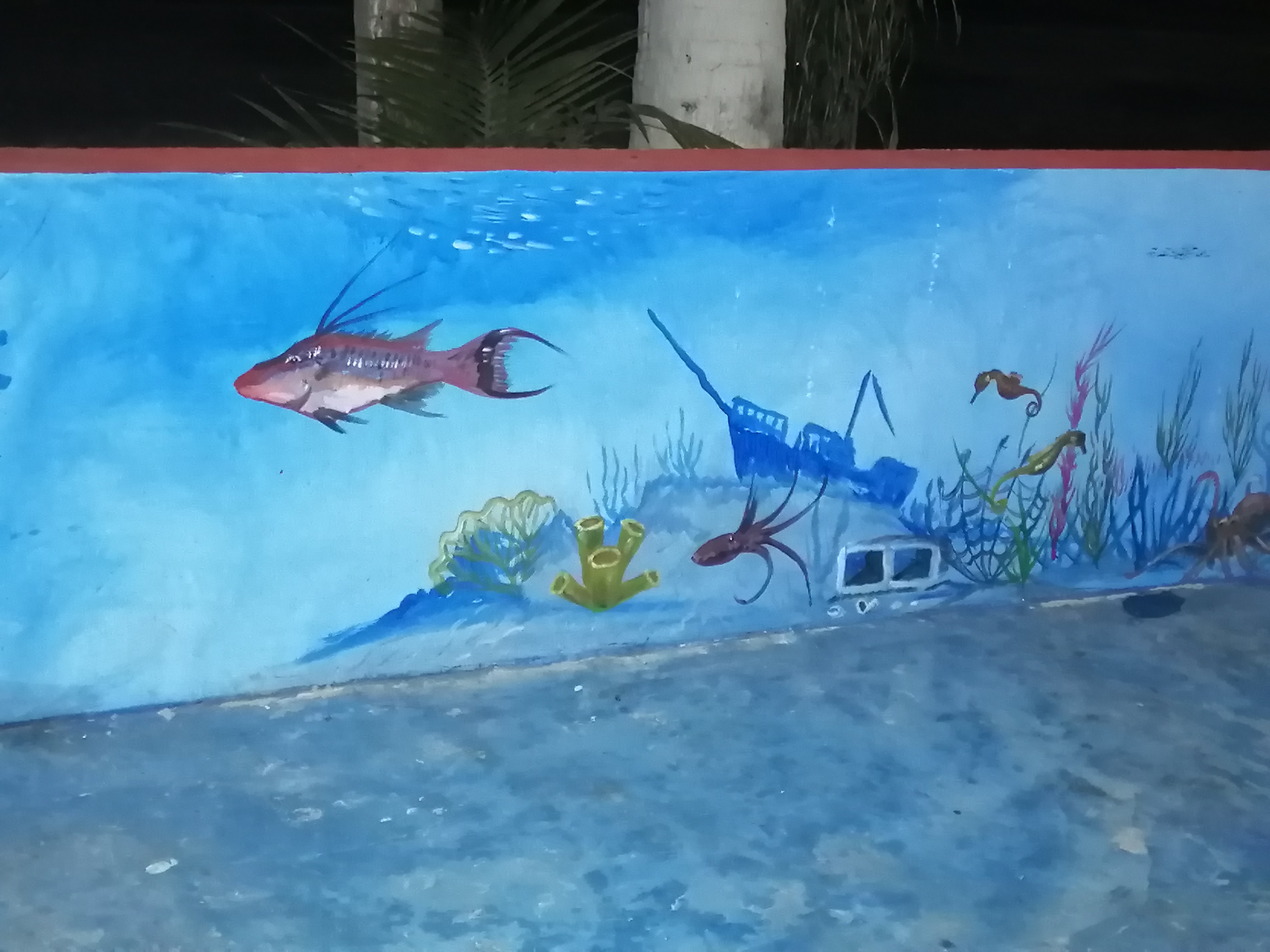 Kocteleria y mariscos El Boquinete image 5