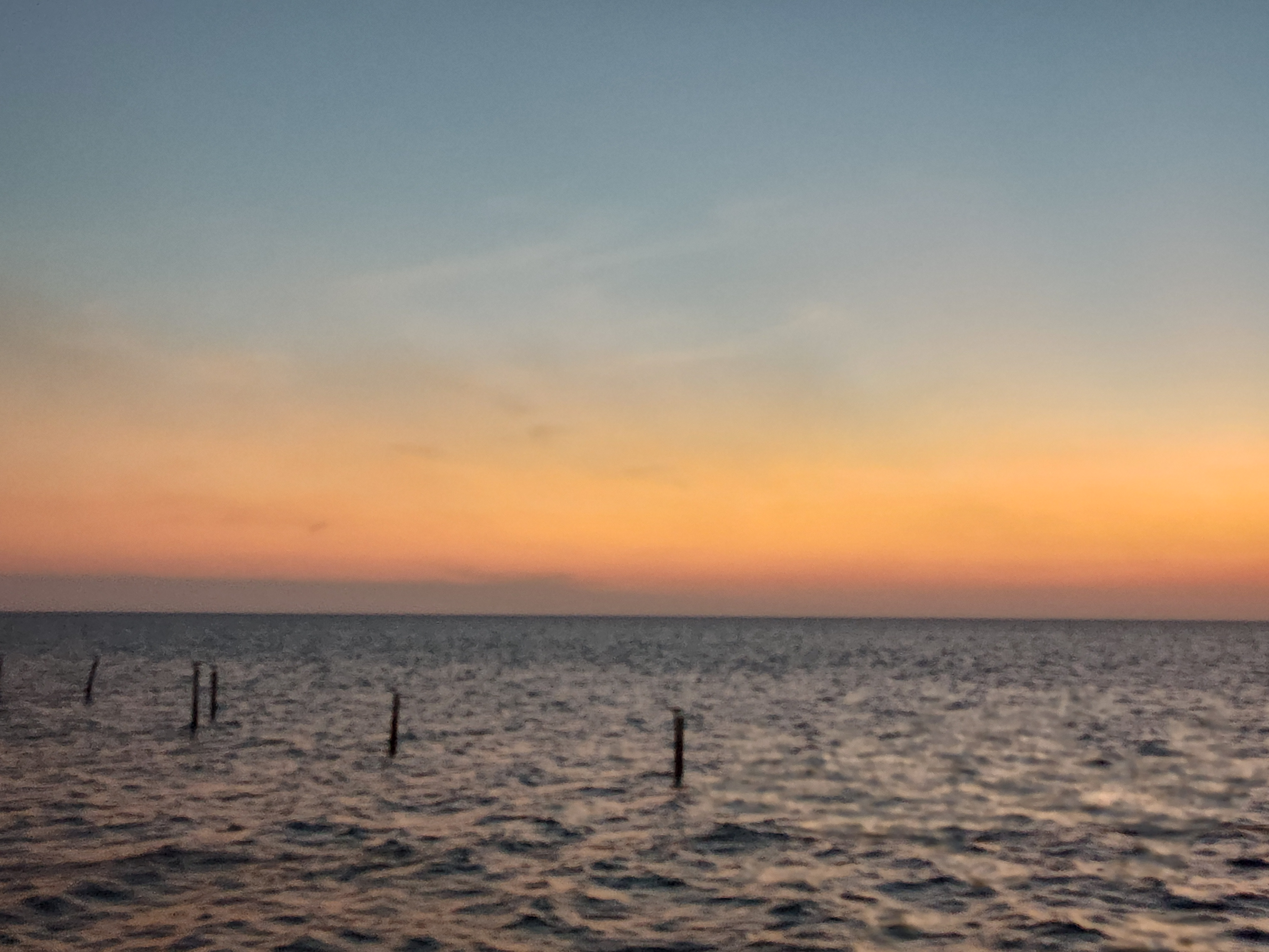 Restaurante El Timon image 4