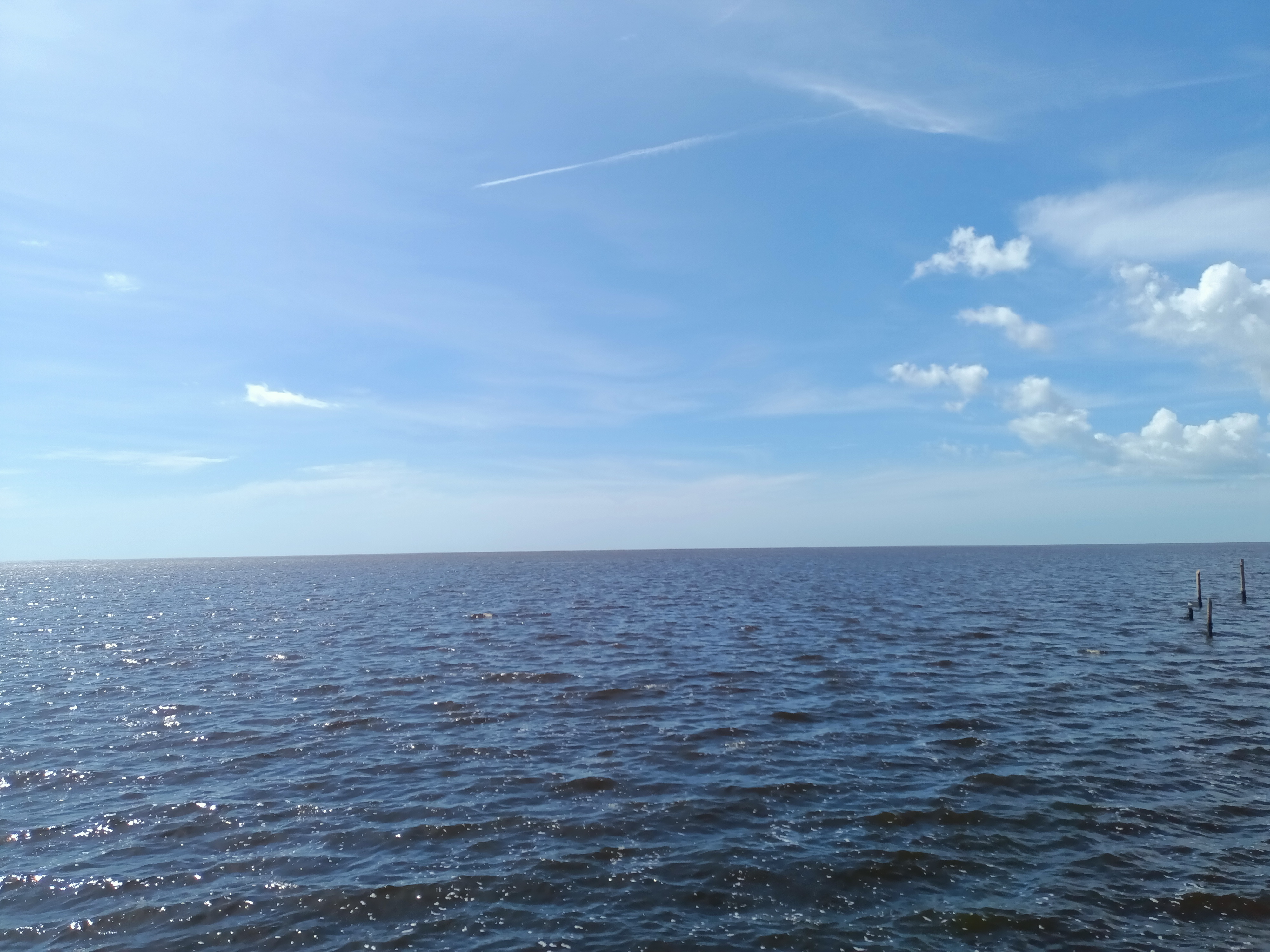 Restaurante El Timon image 6