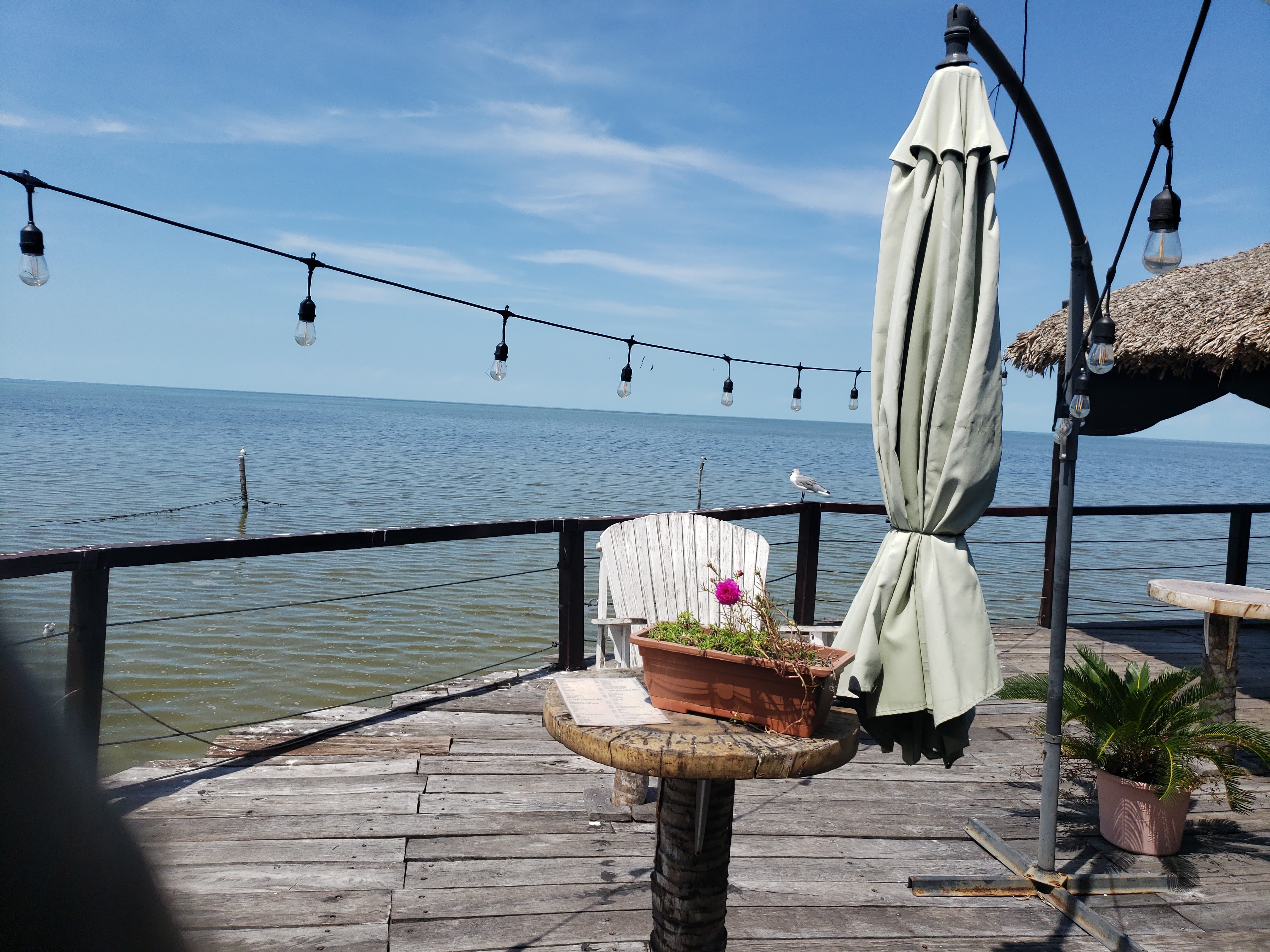 Restaurante El Timon image 8