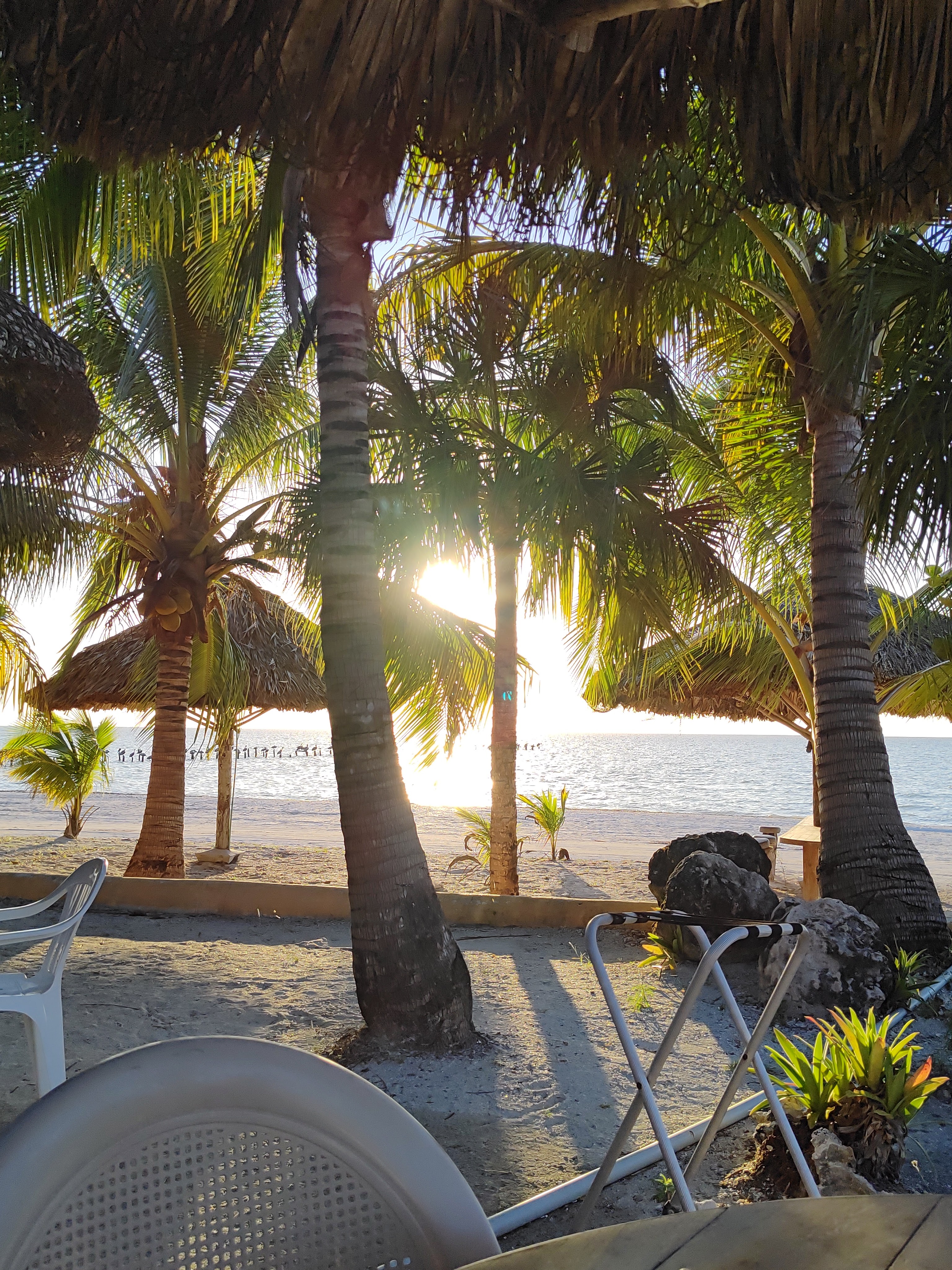 RESTAURANTE BAR & GRILL chaka's image 4