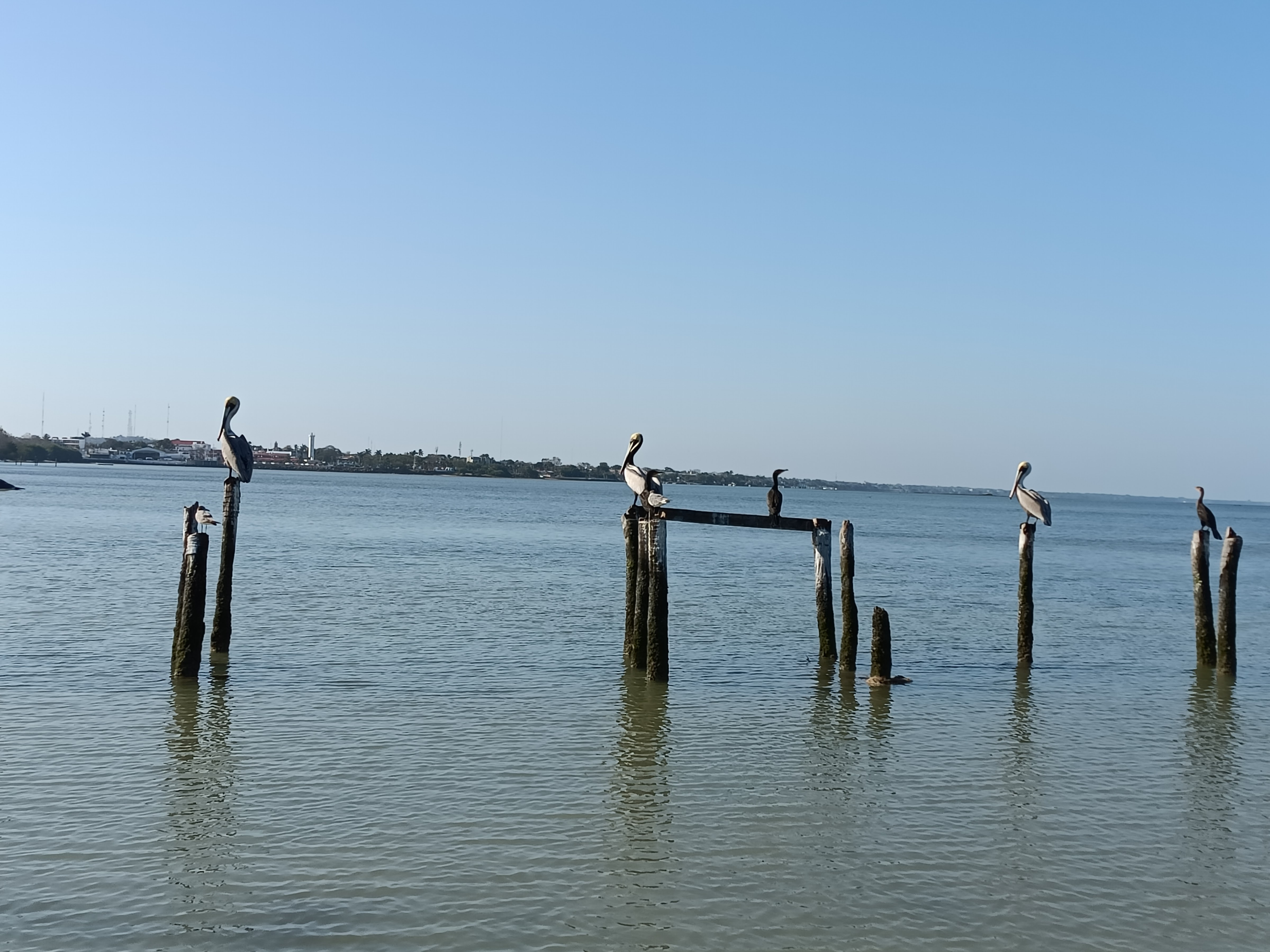 RESTAURANTE BAR & GRILL chaka's image 6