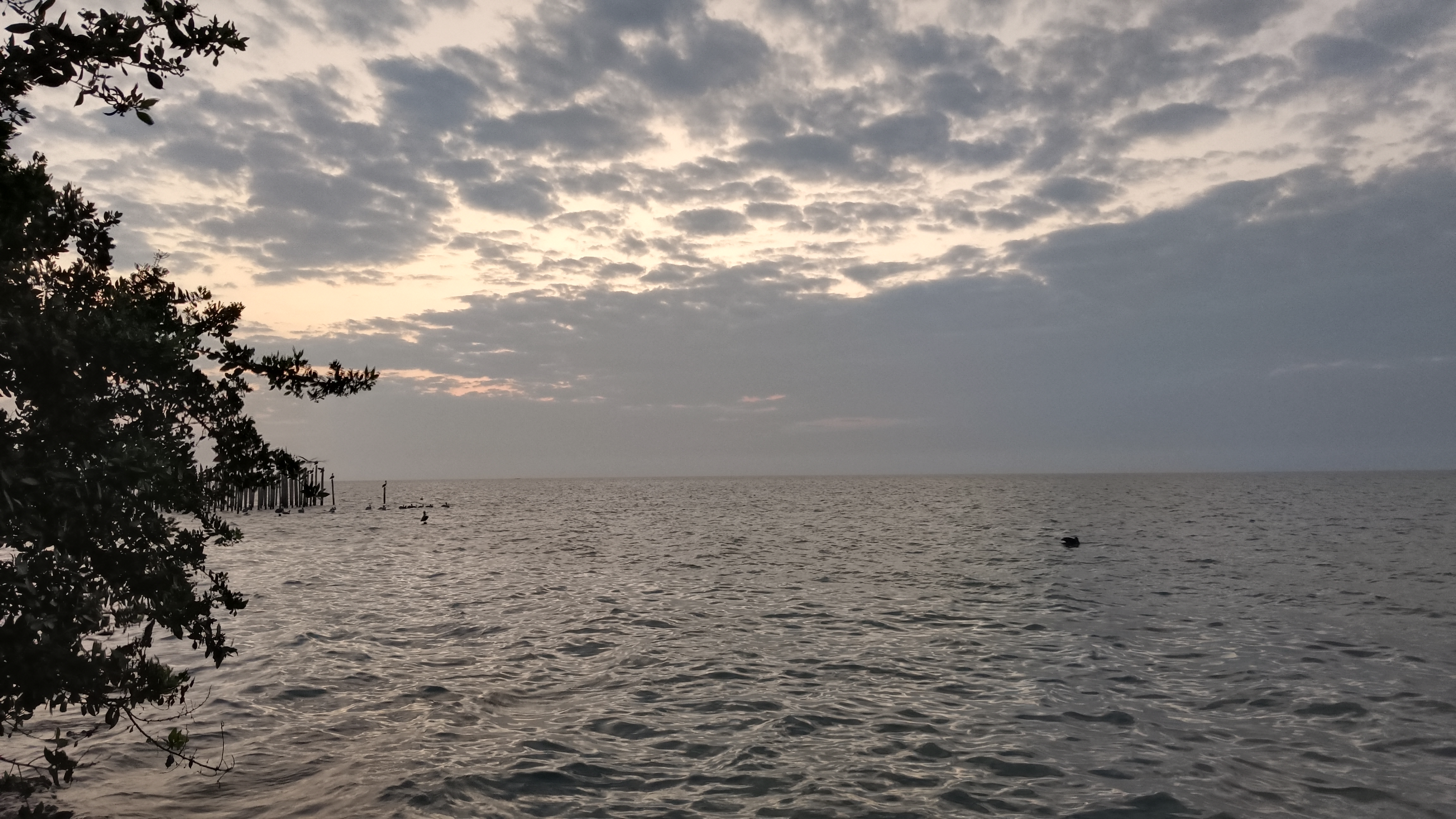 Restaurant Cinthya image 3