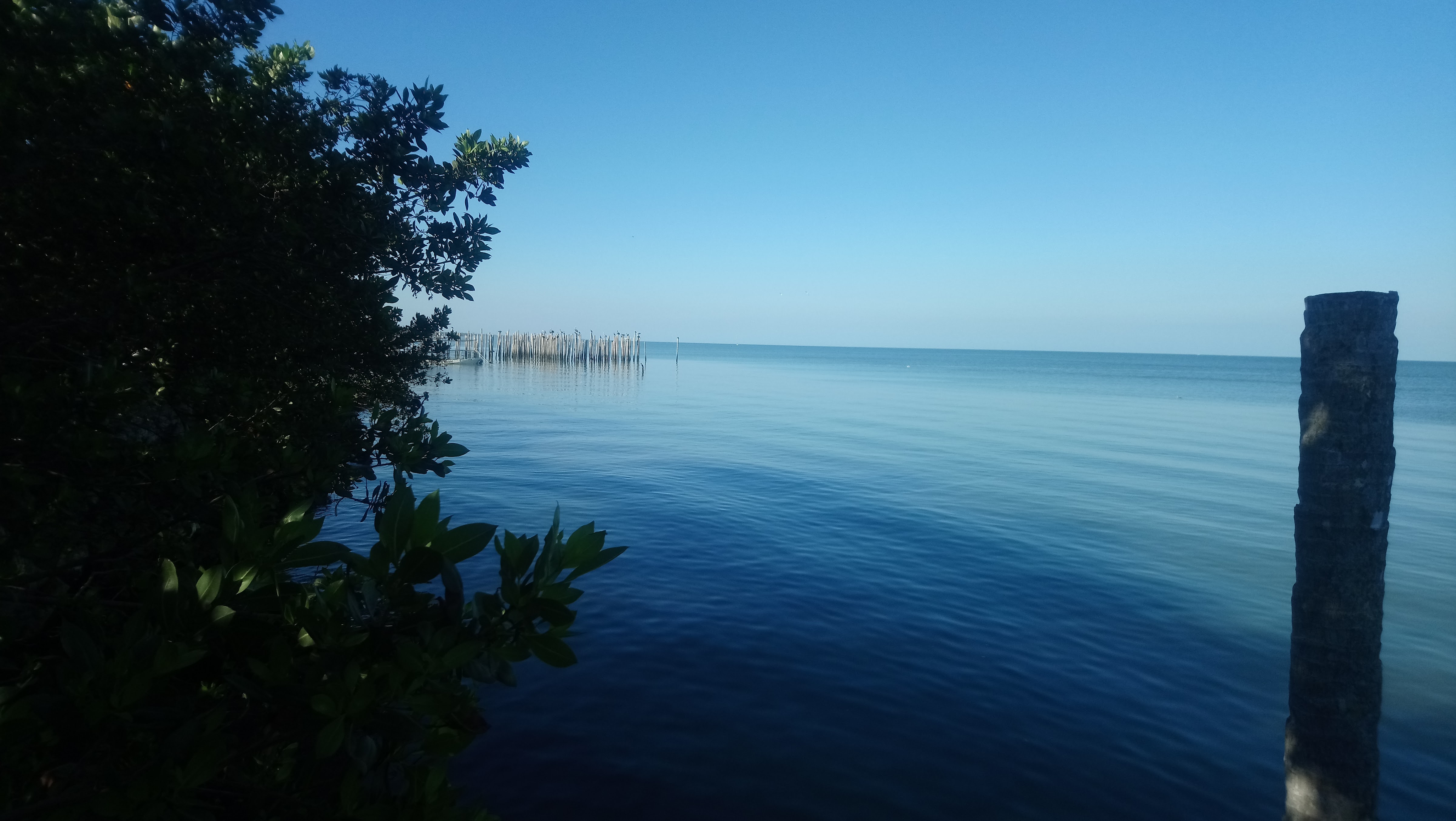 Restaurant Cinthya image 4