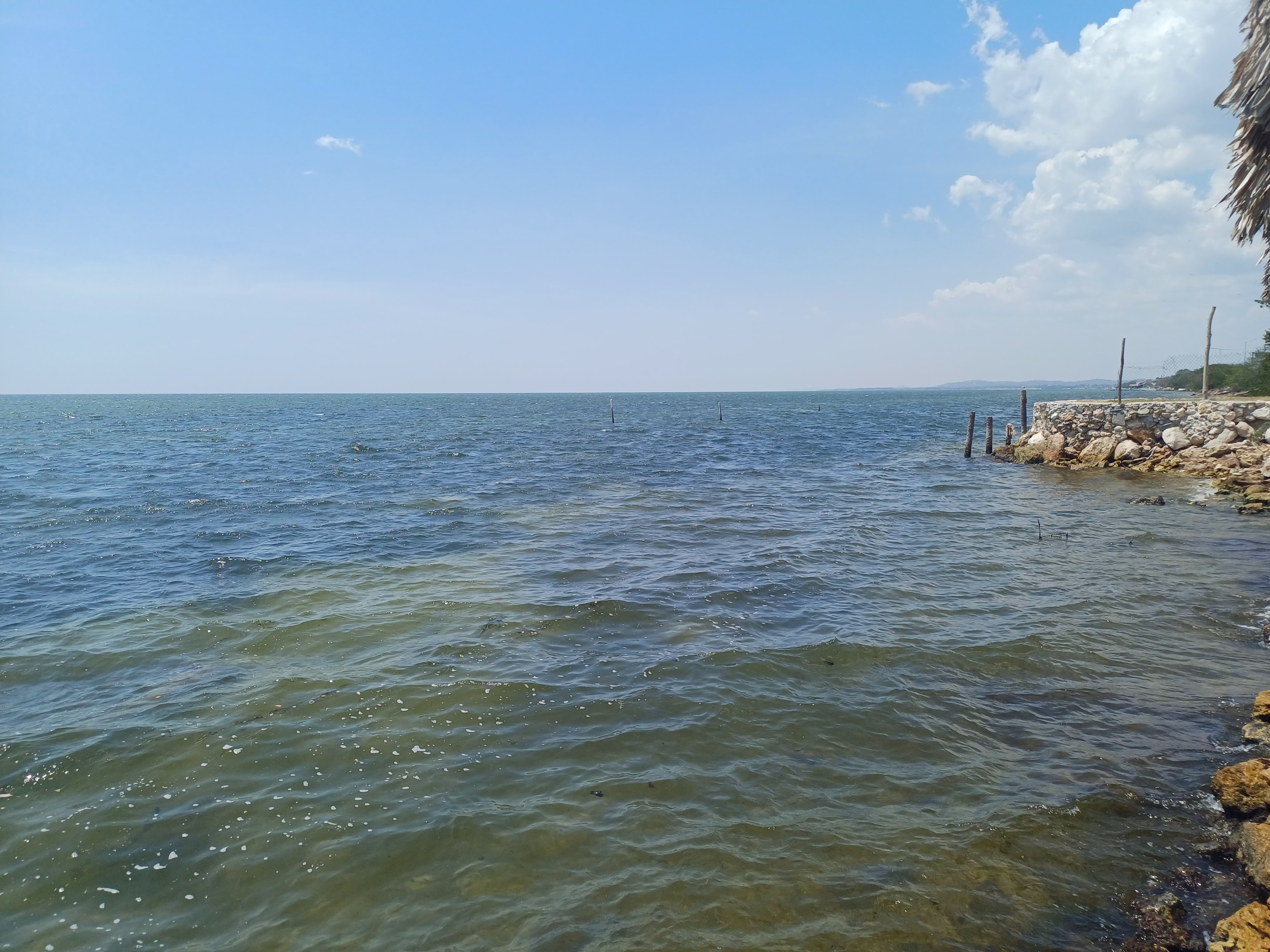 Restaurant Cinthya image 6