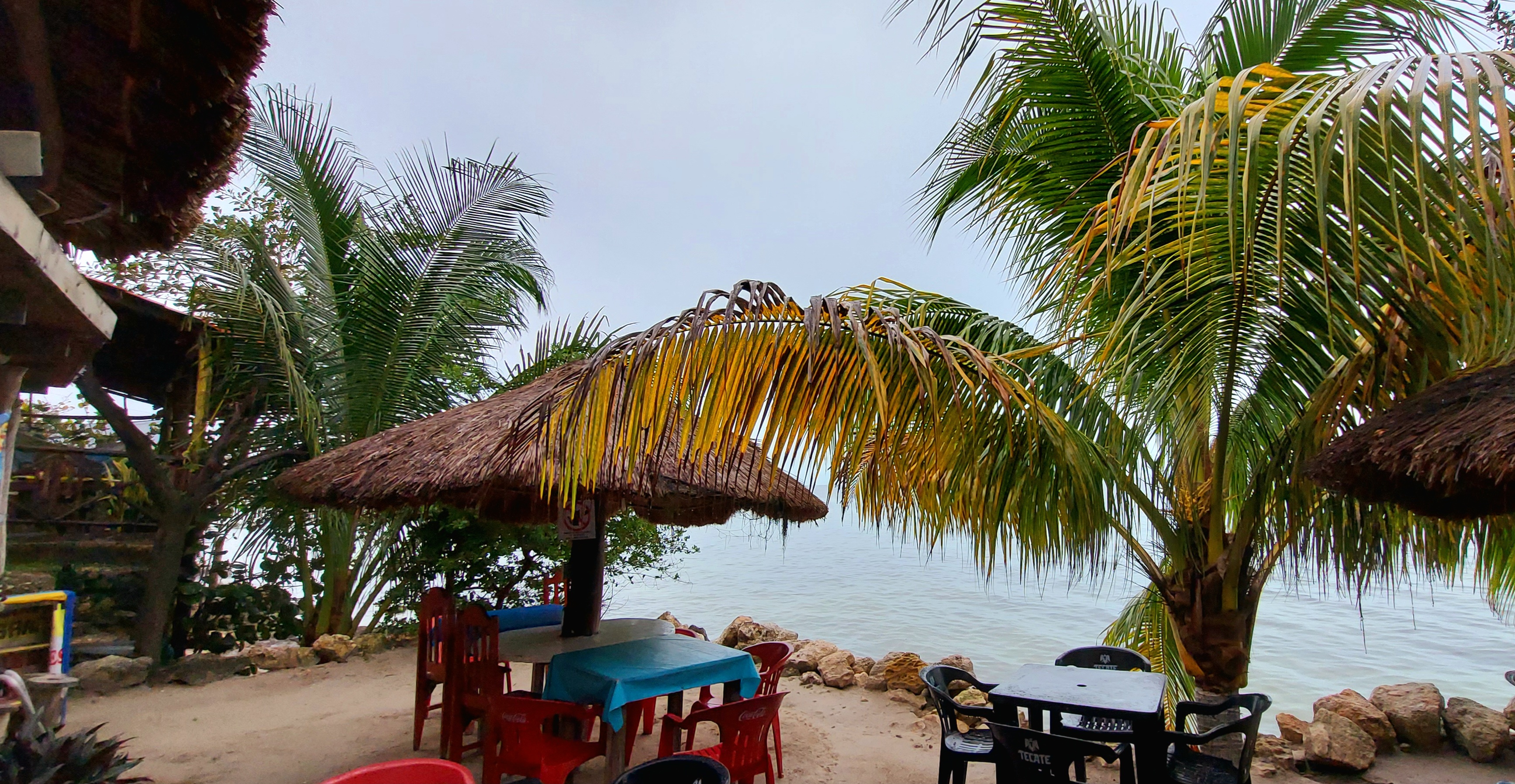 Restaurant Cinthya image 7