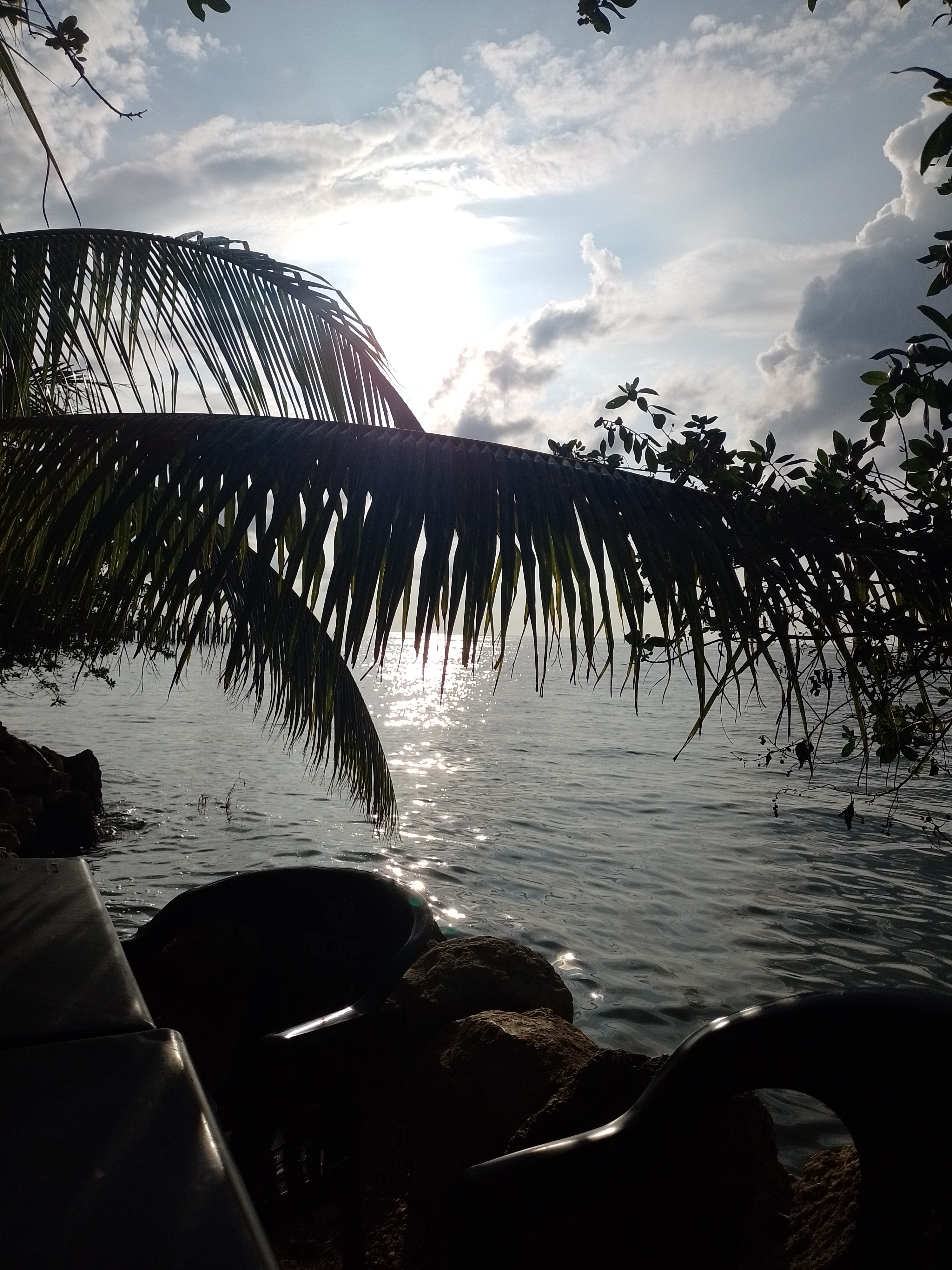 Restaurant Cinthya image 8