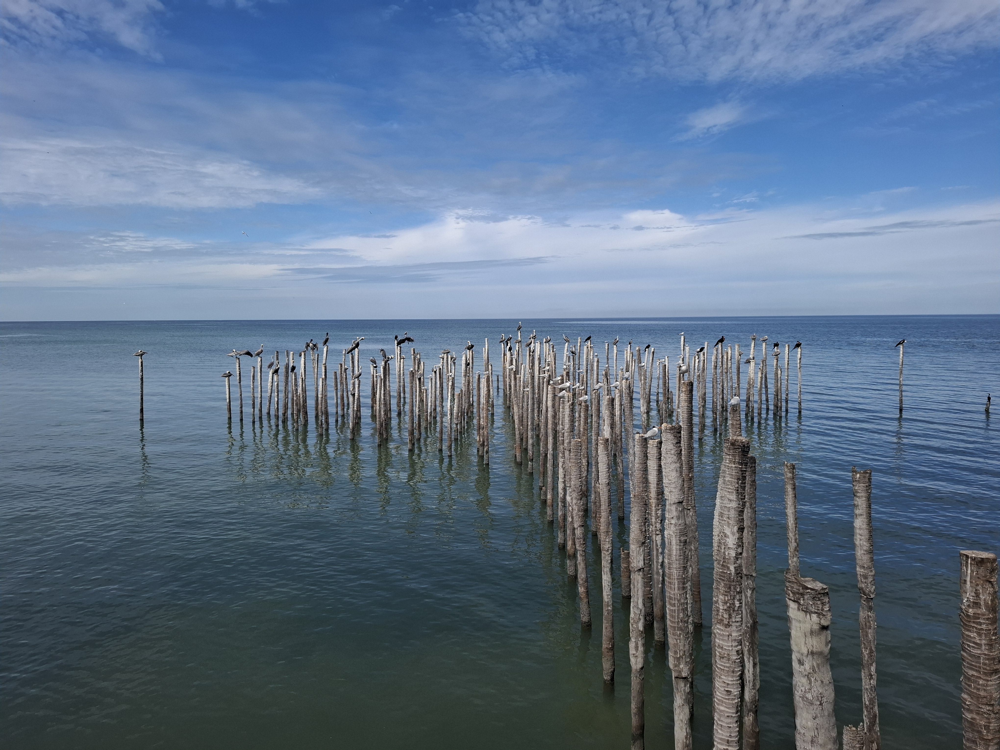 El Cachimbazo image 4