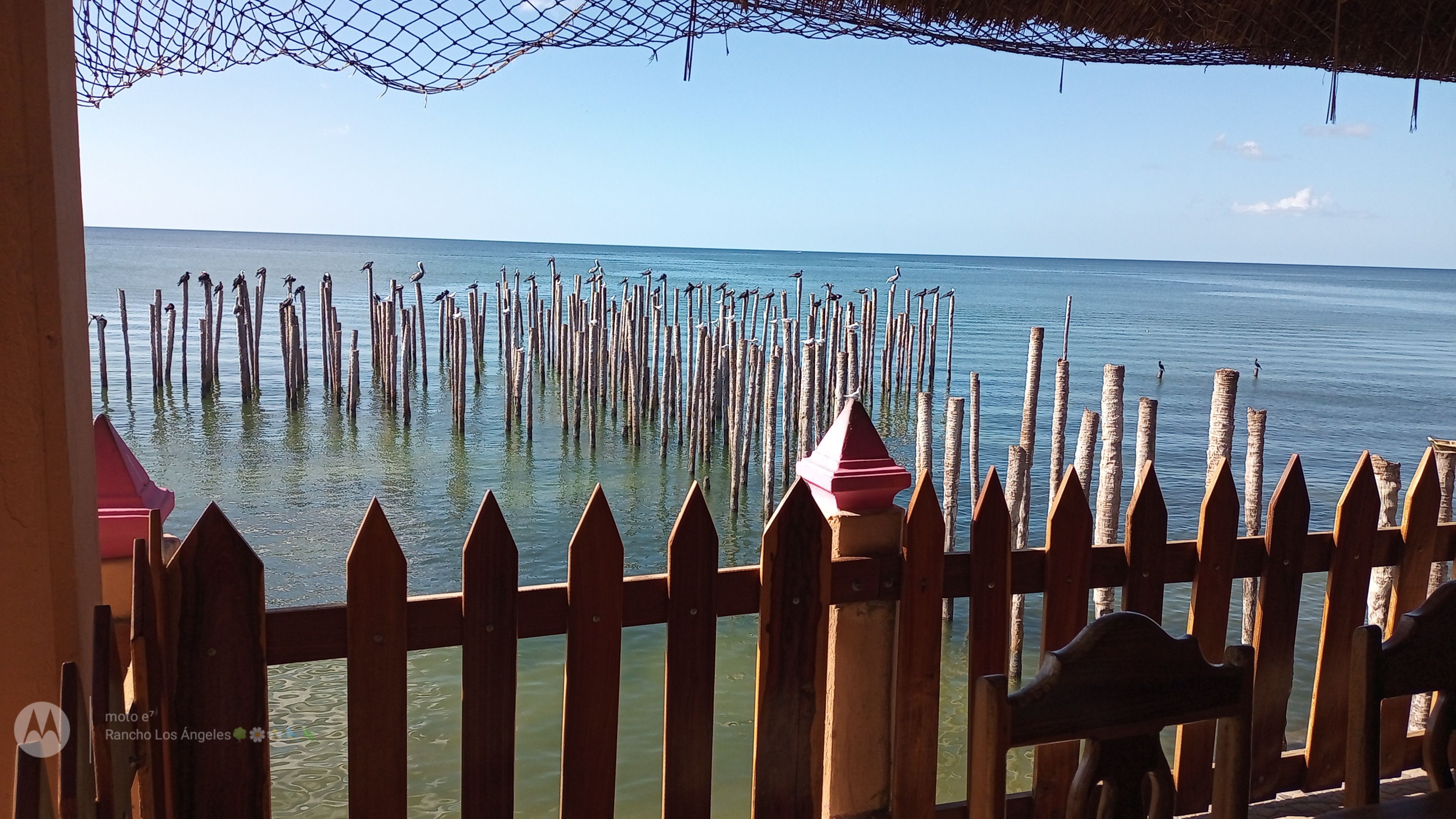 El Cachimbazo image 6