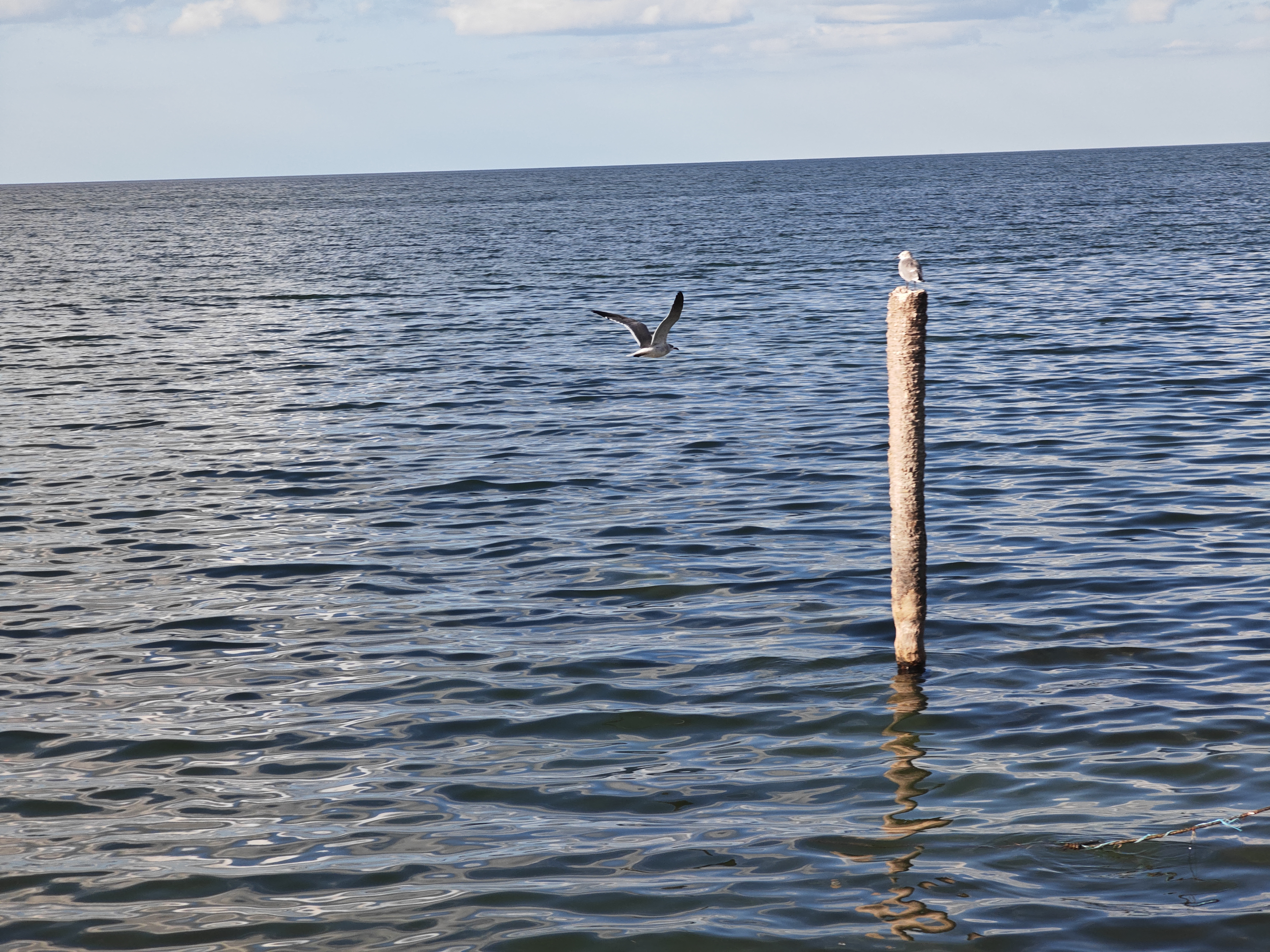 El Cachimbazo image 9