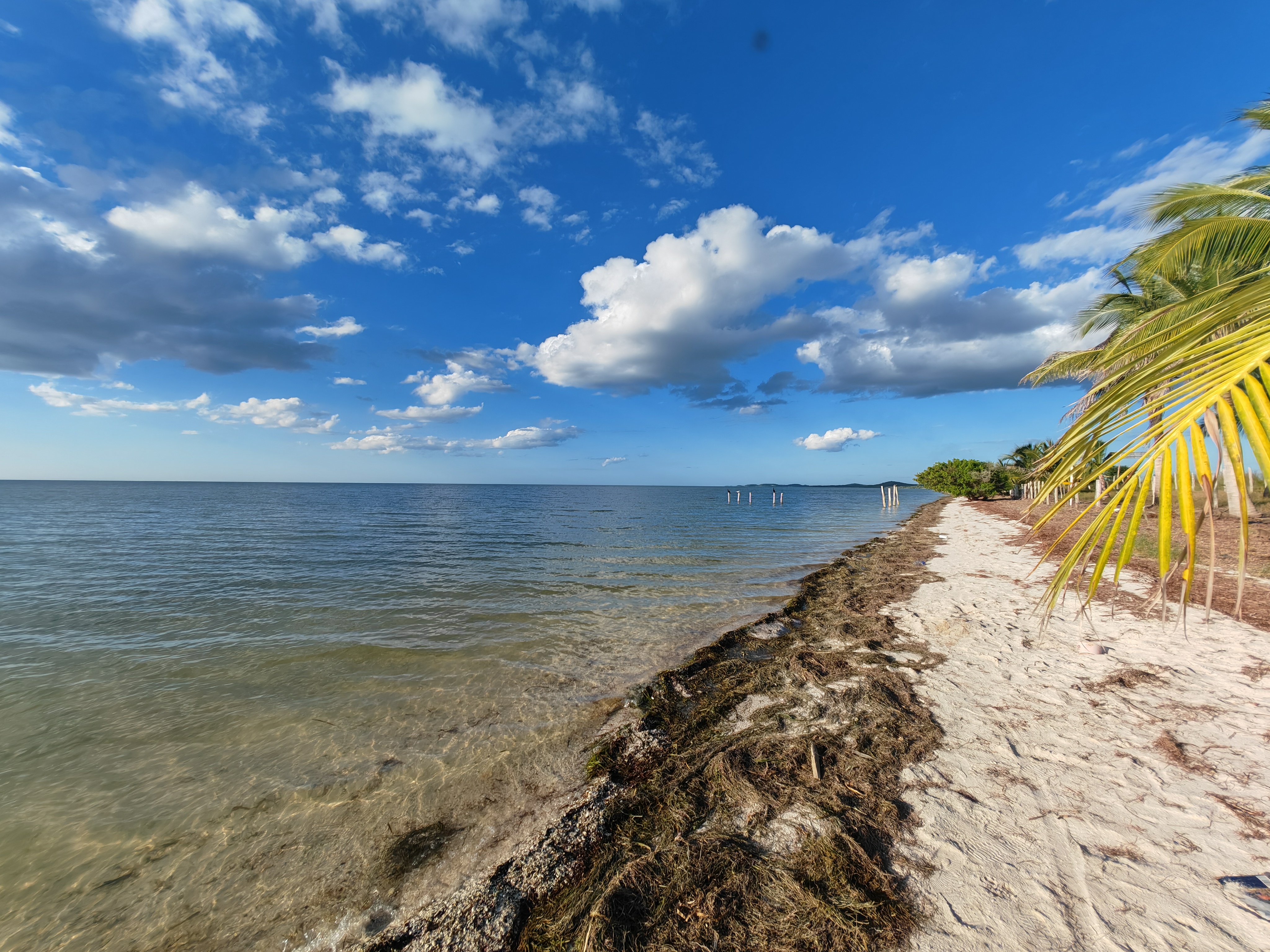 BIENVENIDOS EL INICIO image 3