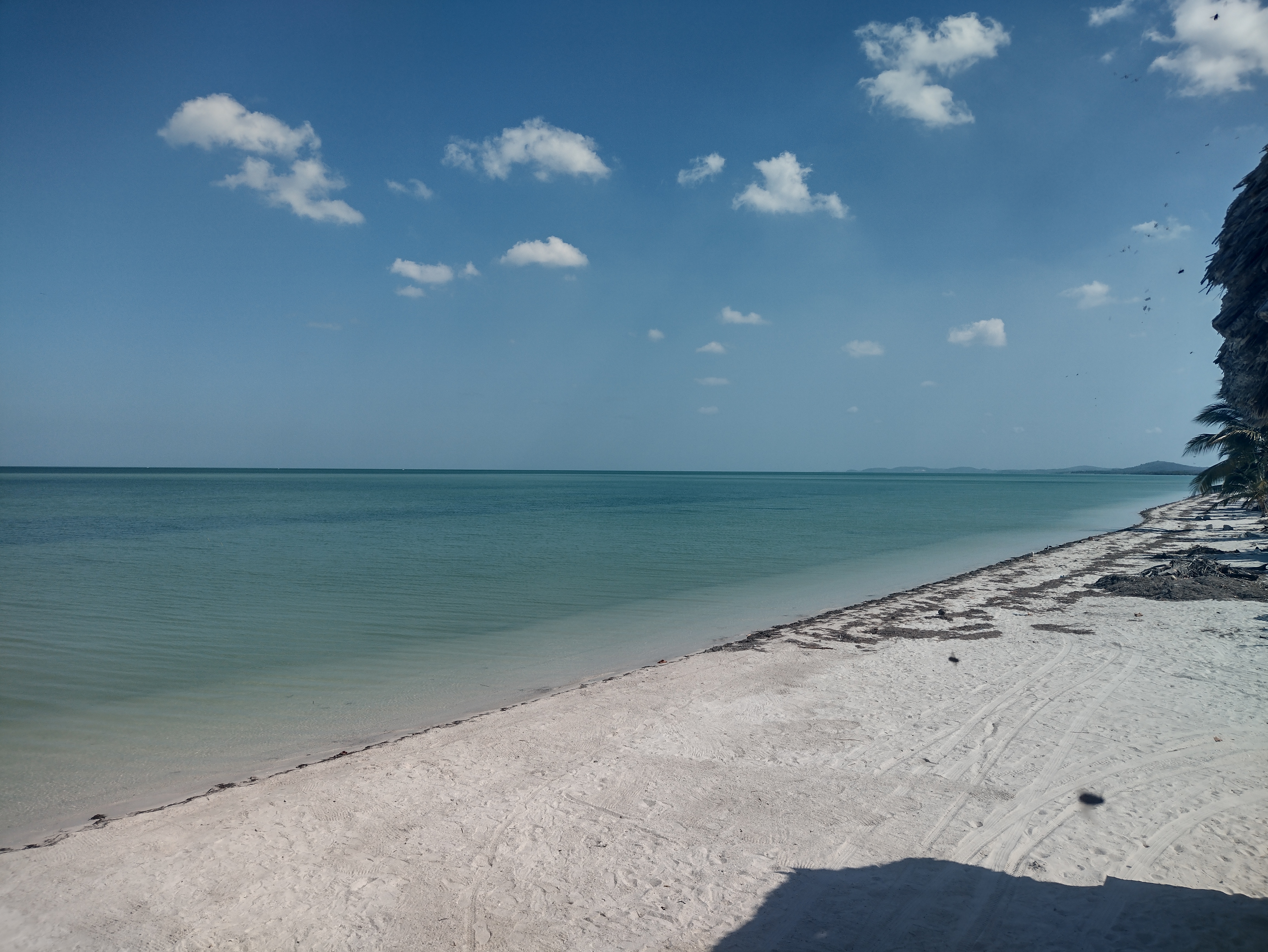 BIENVENIDOS EL INICIO image 4