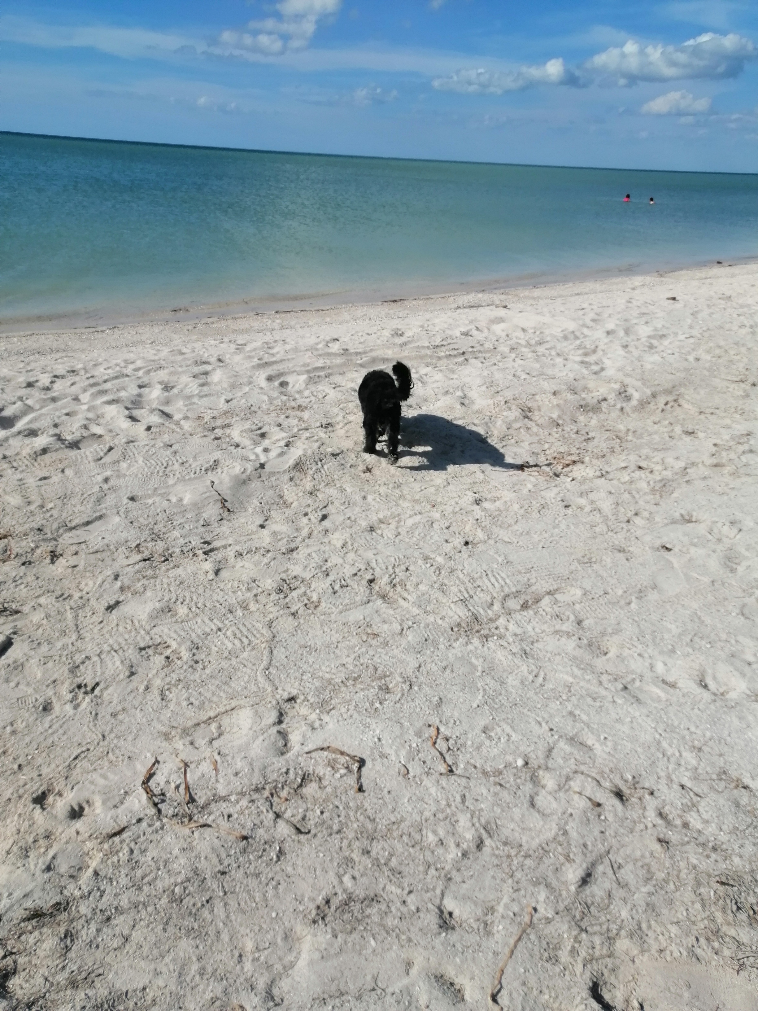 BIENVENIDOS EL INICIO image 7