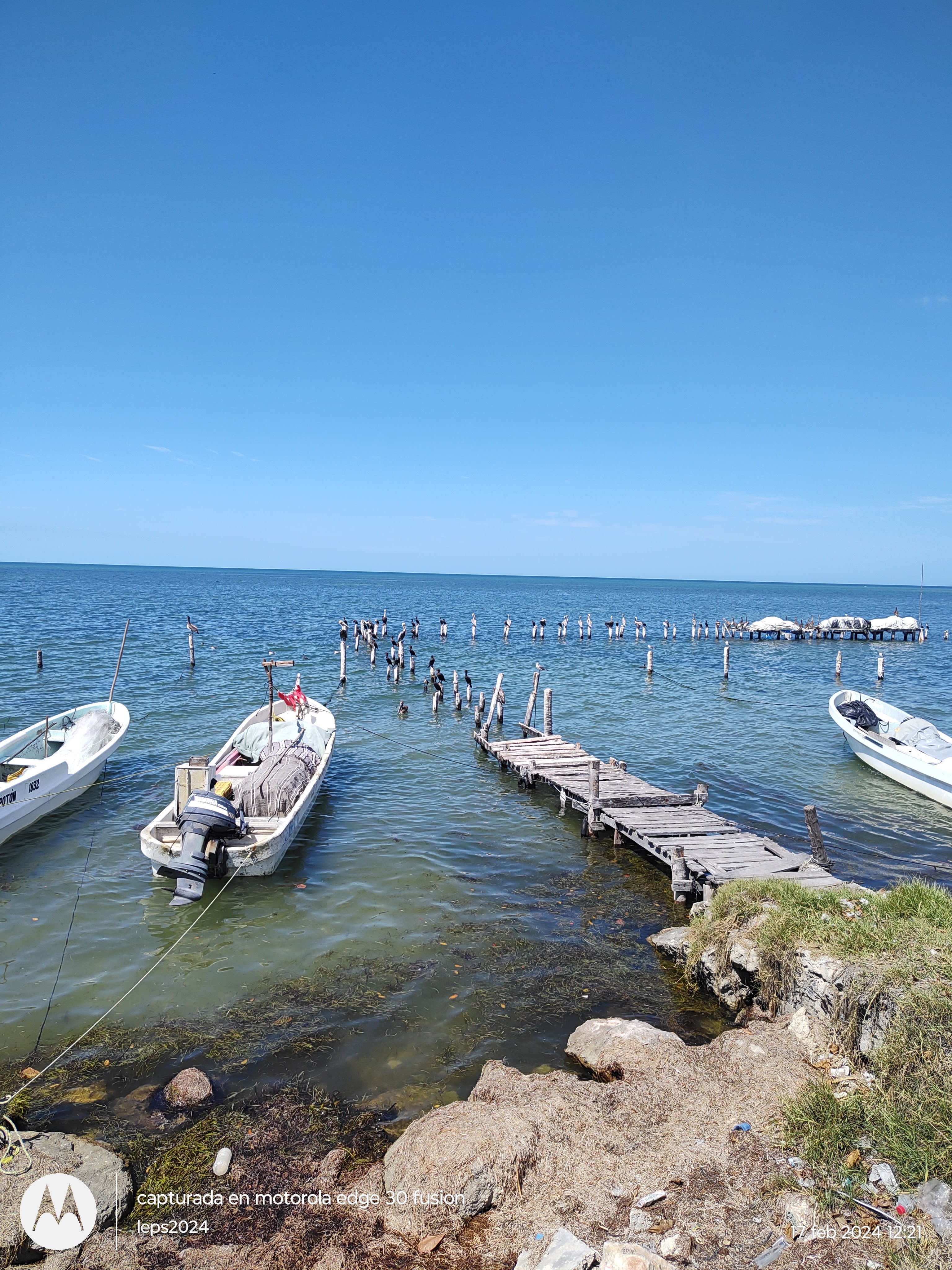 Rest. Cocina Potón-chan image 10