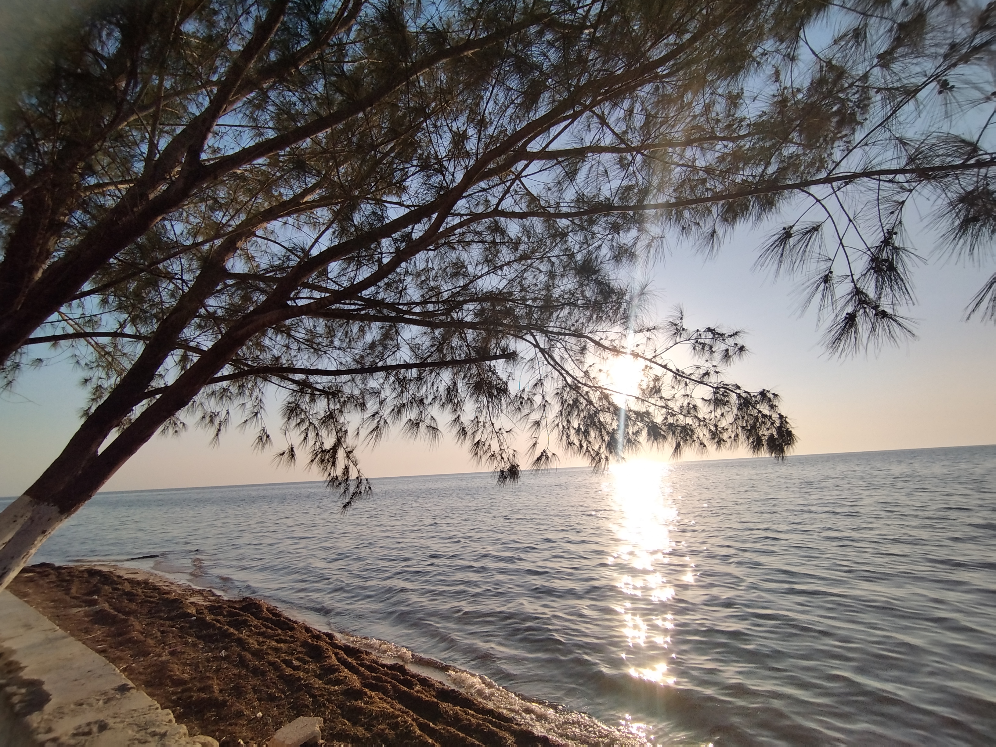 Restaurante y Coctelería JIREH image 3