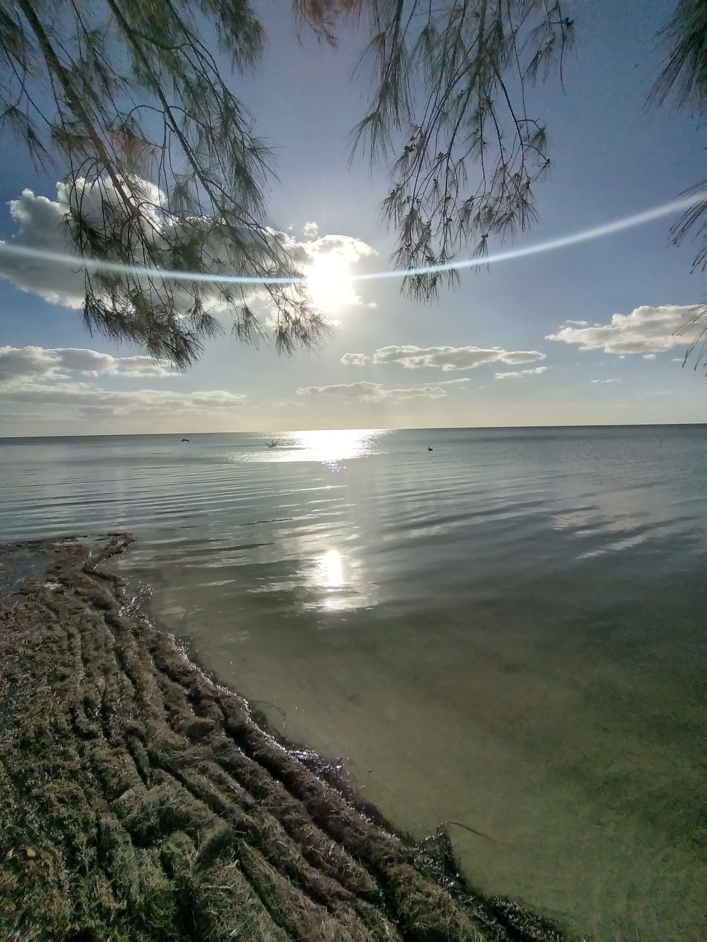 Restaurante y Coctelería JIREH image 5