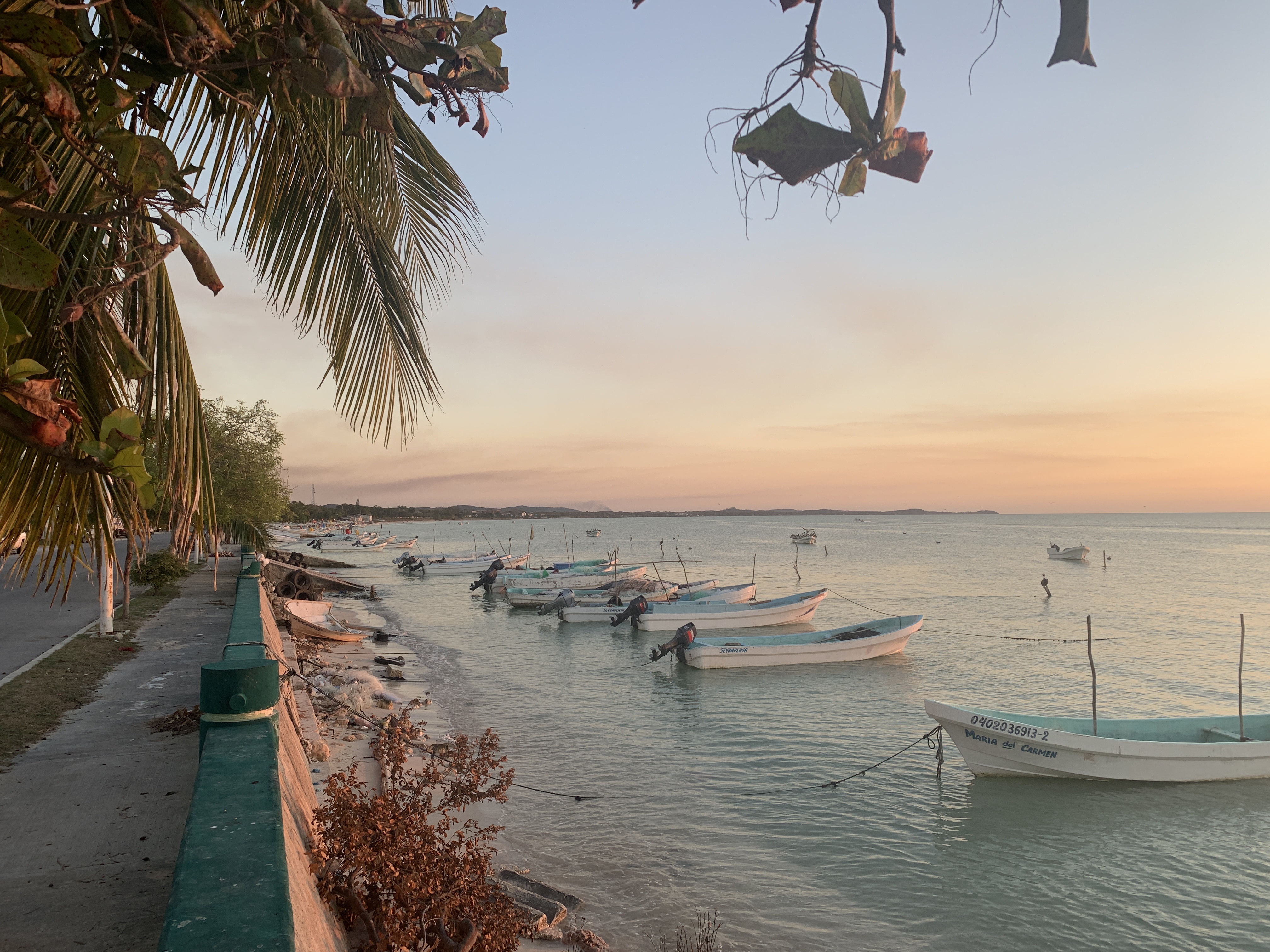 Restaurante Mario's image 5