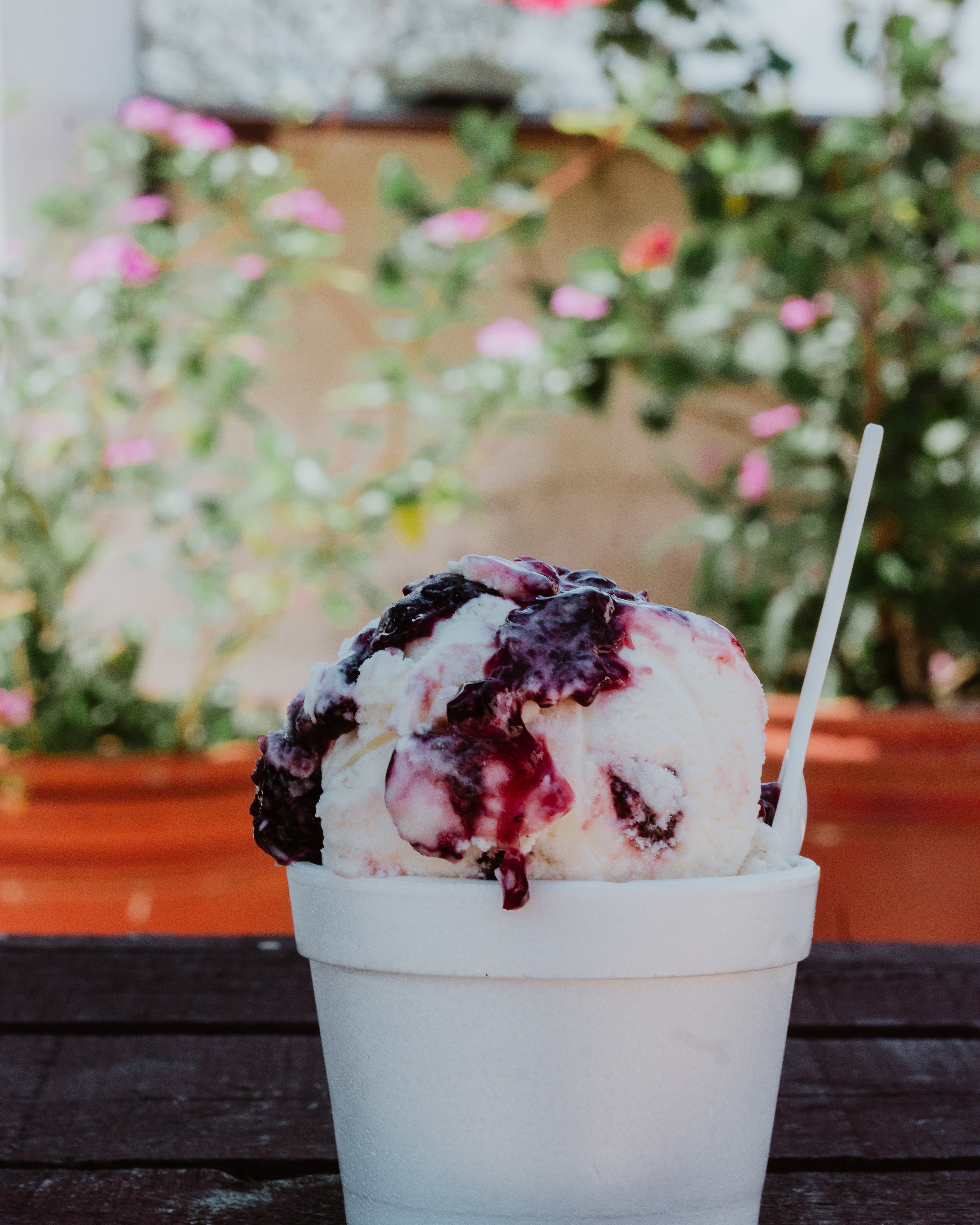 Terraza Delicias image 9