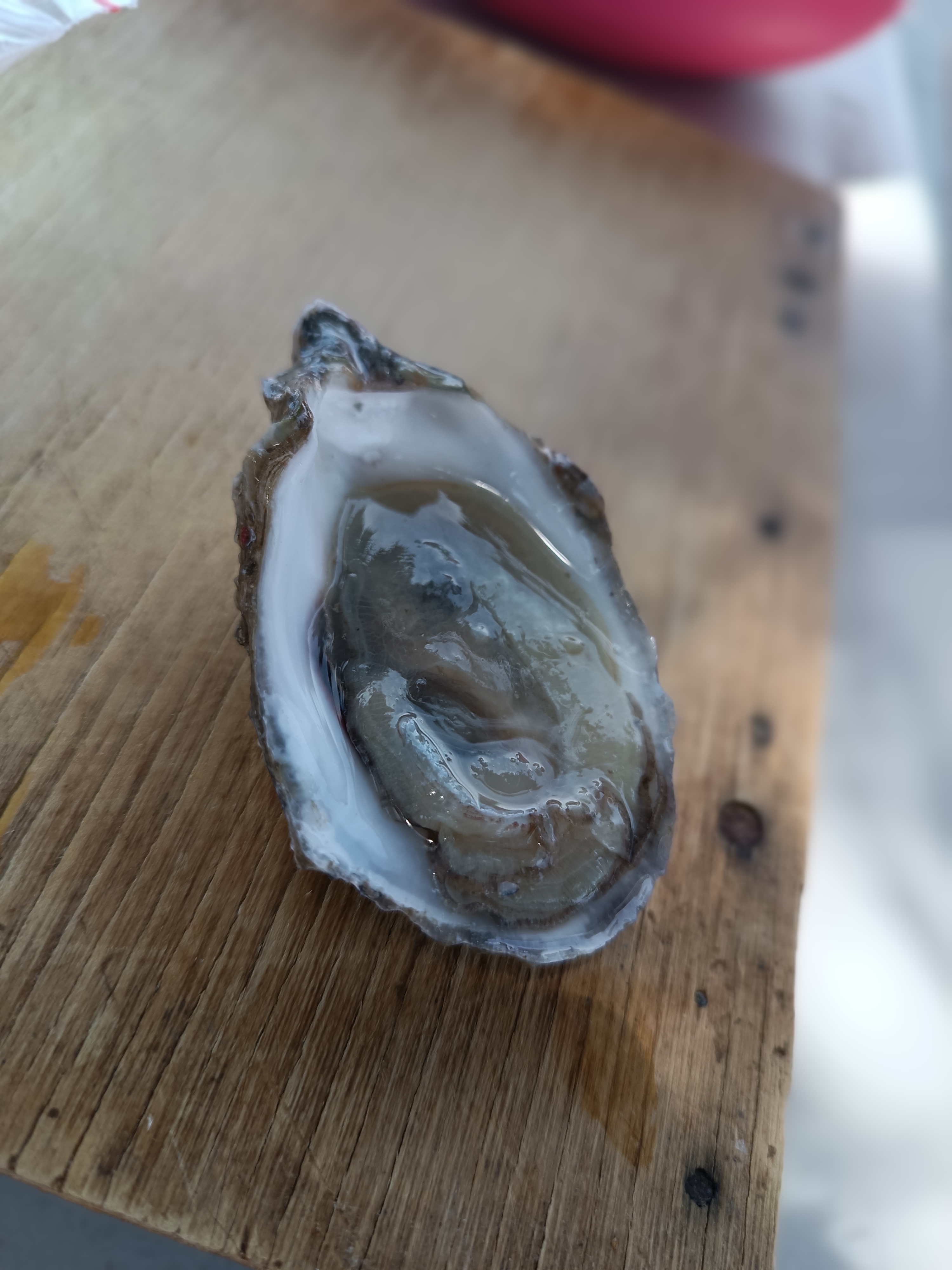 Las chocolatas image 10