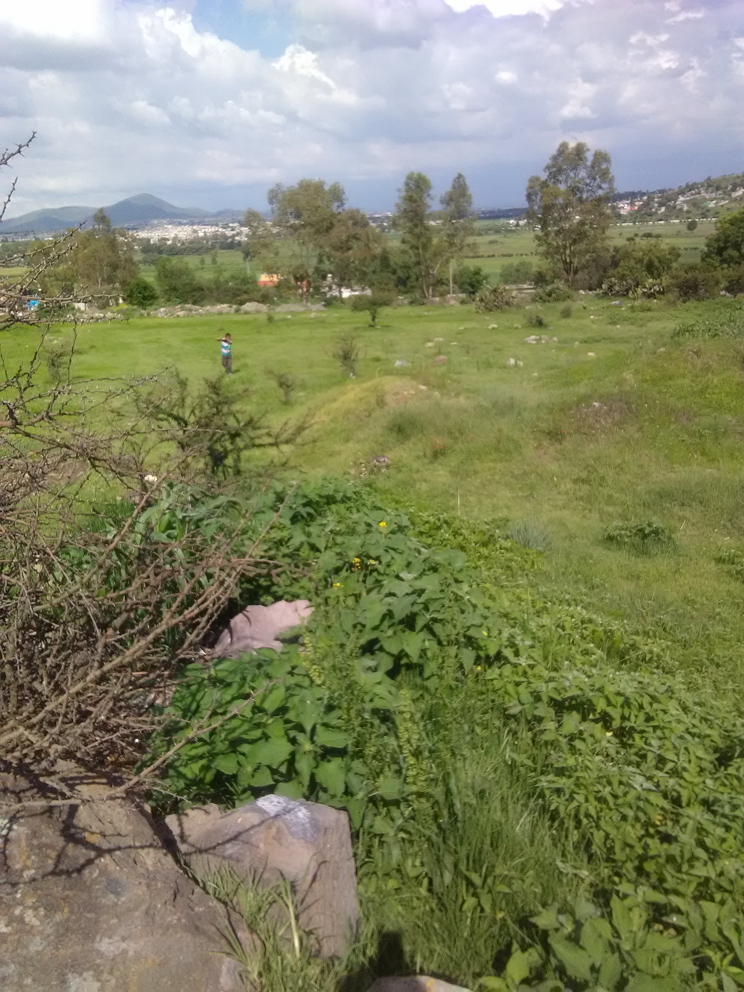 Barbacoa El Oso image 2