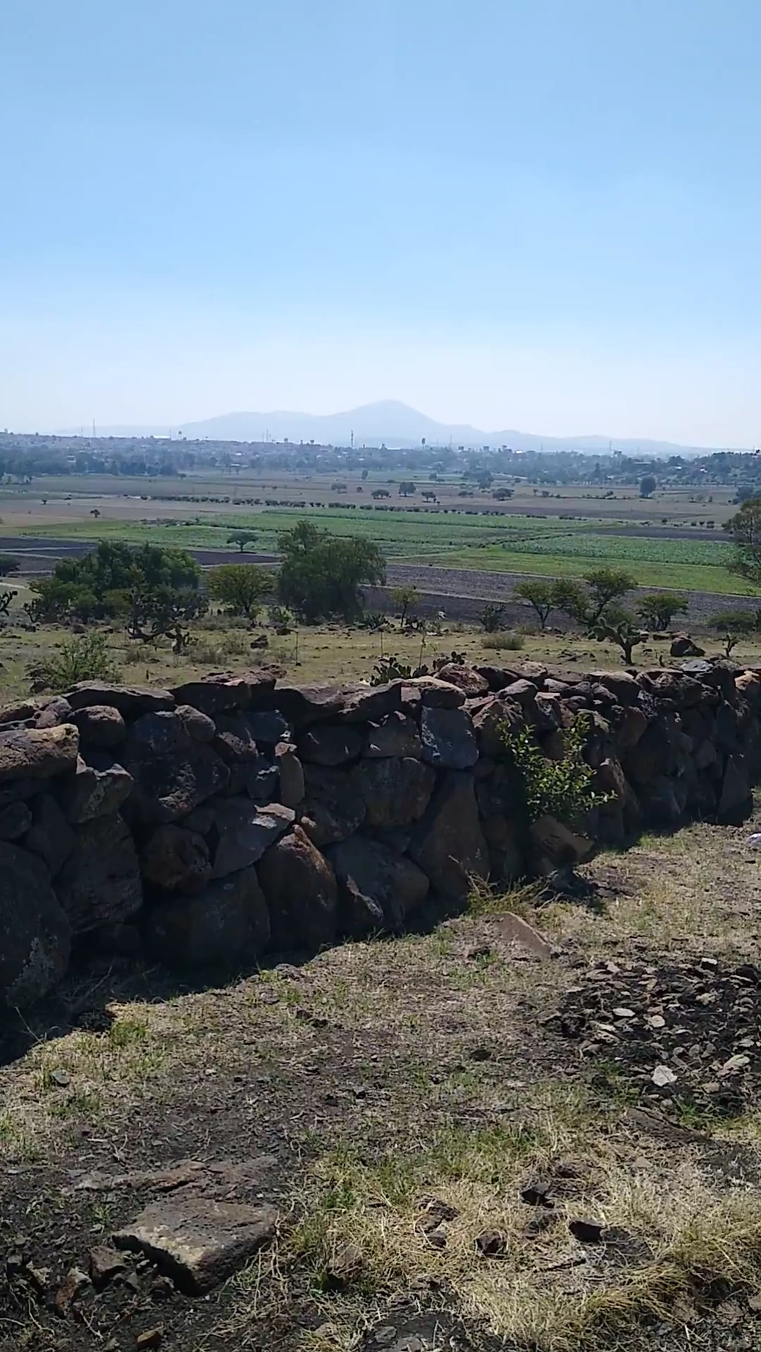Barbacoa El Oso image 3