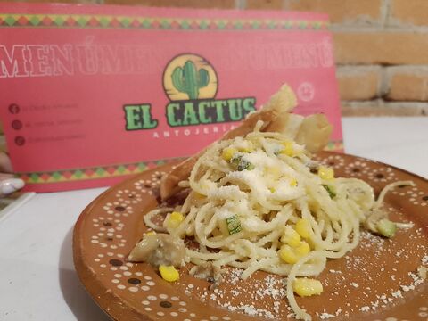El cactus antojeria image 2