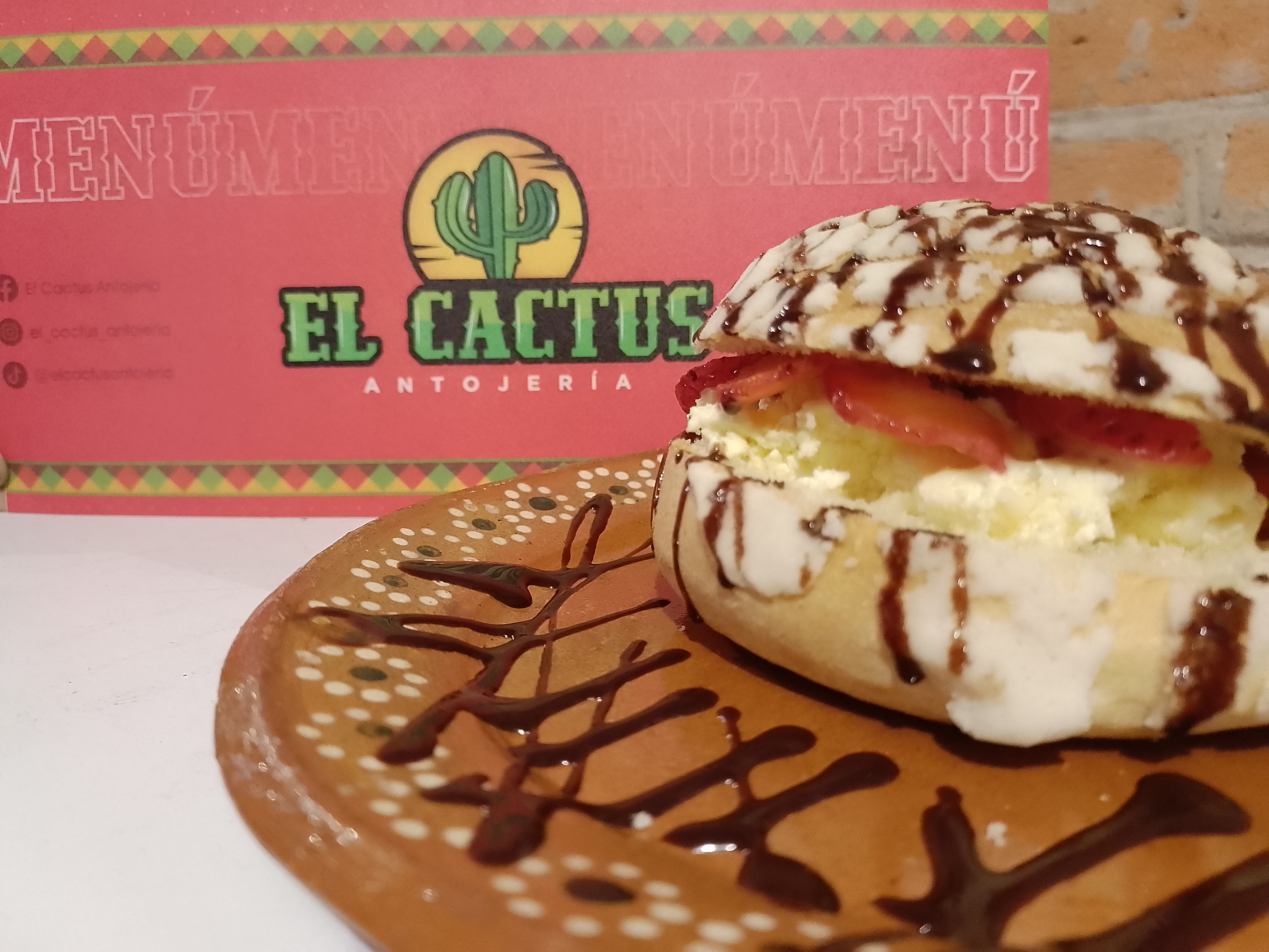 El cactus antojeria image 3