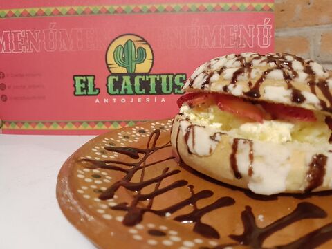 El cactus antojeria image 3