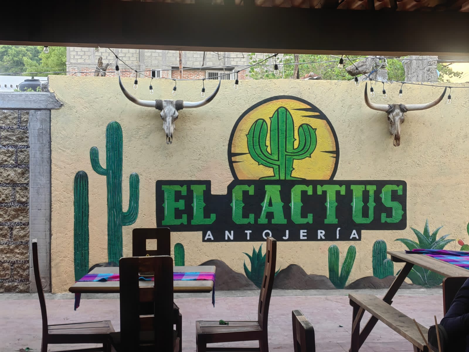 El cactus antojeria image 7