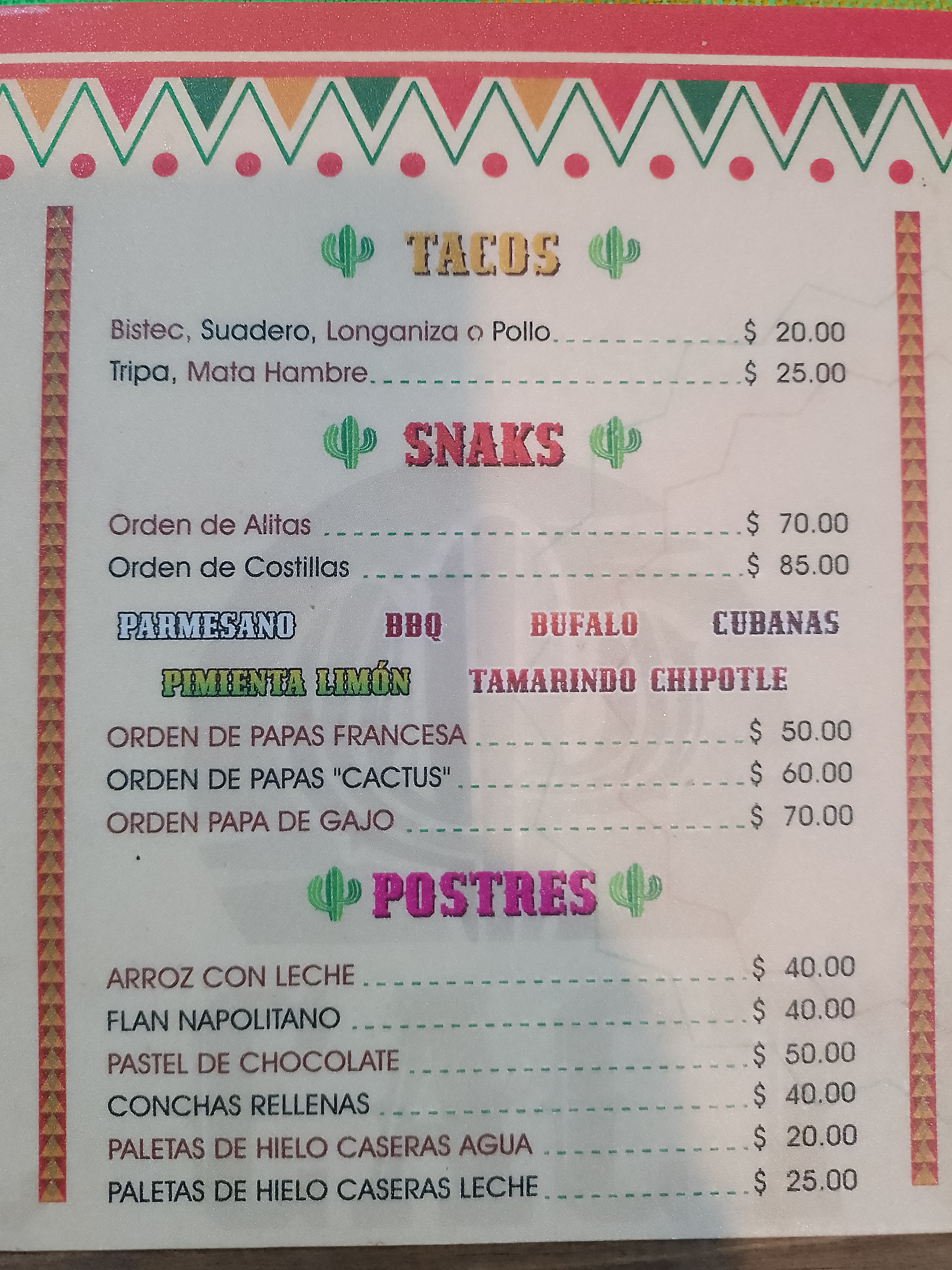 El cactus antojeria image 9